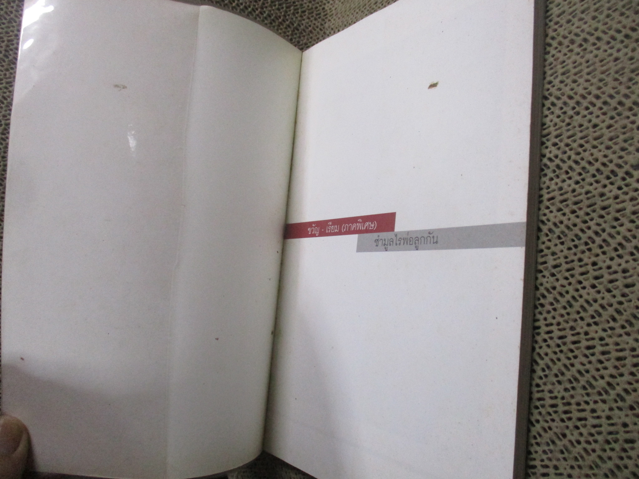 ขวัญ-เรียม(ภาคพิเศษ) ควบ ซำมูลไนพ่อลูกกั. ผู้เขียน: เทพ โพธิ์งาม