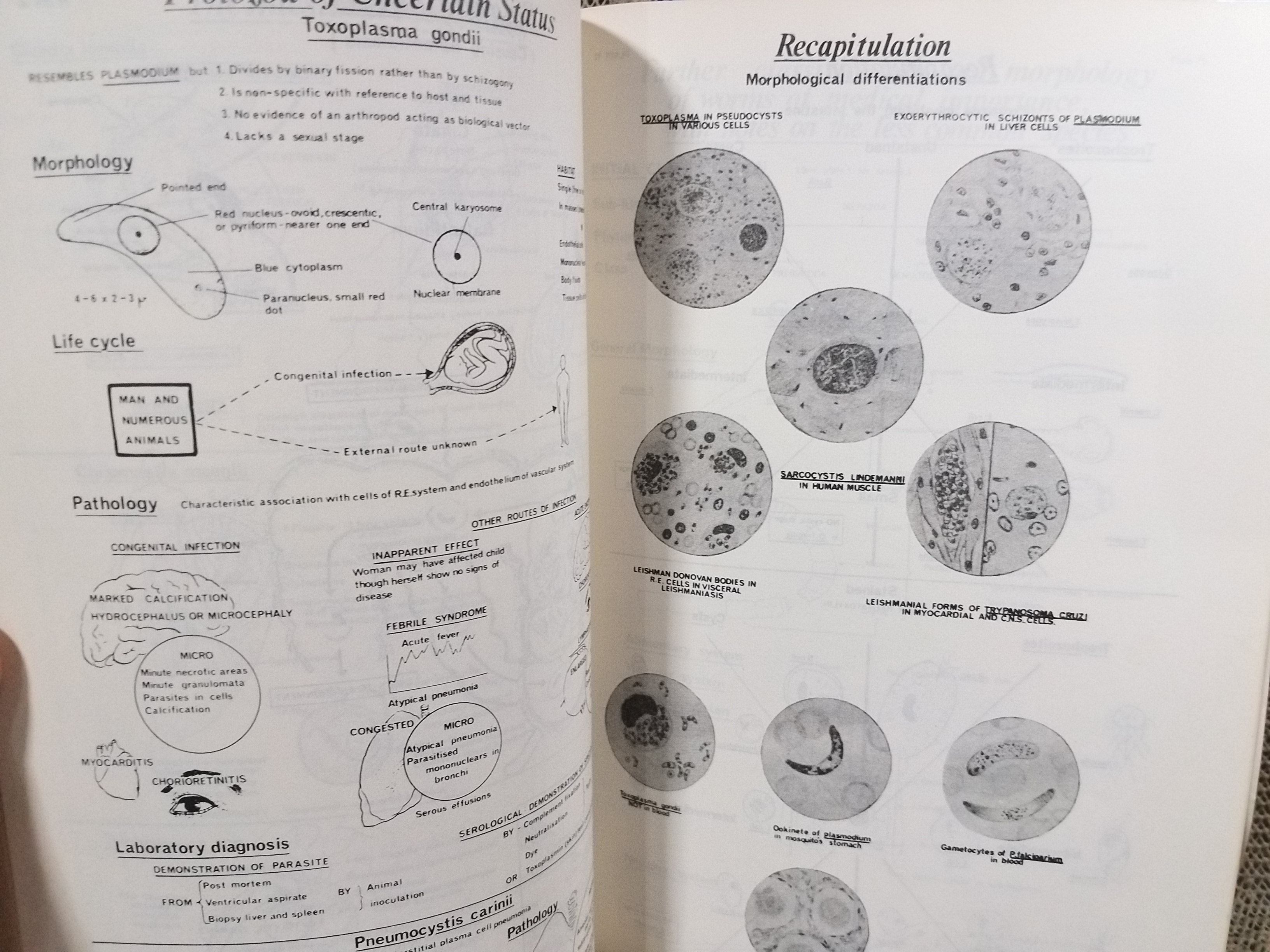 ATLAS OF MEDICAL HELMINTHOLOGY & PROTOZOOLOGY /ตำราแพทย์ ปรสิตหนอนพยาธิทางการแพทย์ โปรโตซัวทางการแพทย์