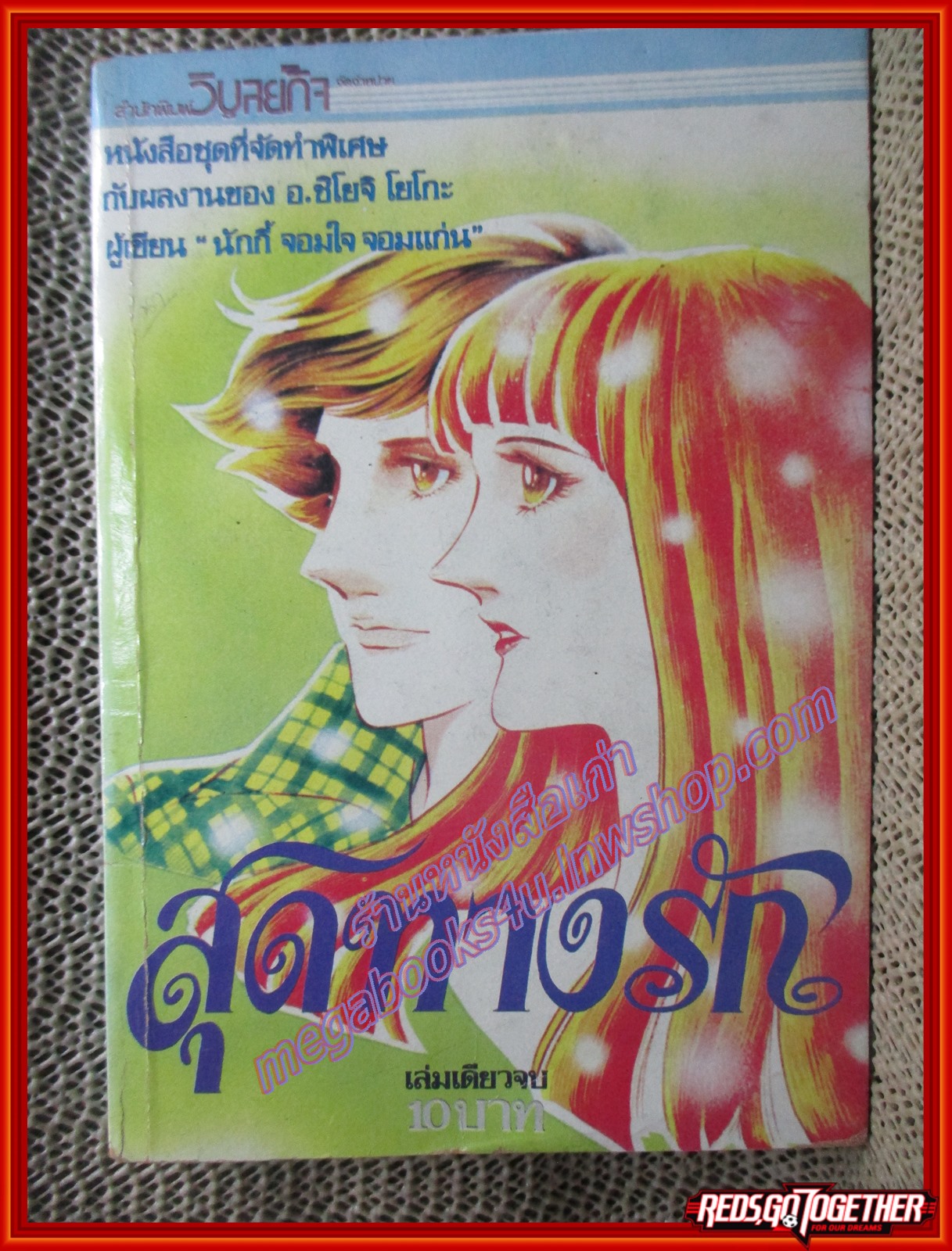 การ์ตูนบ้าน สุดทางรัก ของ อ.ชิโยจิ โยโกะ (มีภาพสีแทรก)