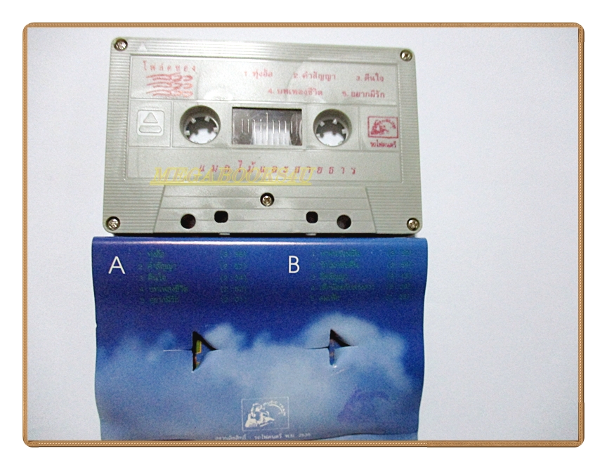 ขายเทปเพลงเก่า วงสาว สาว สาว อัลบั้ม แมกไม้และสายธาร (พ.ศ. 2529)