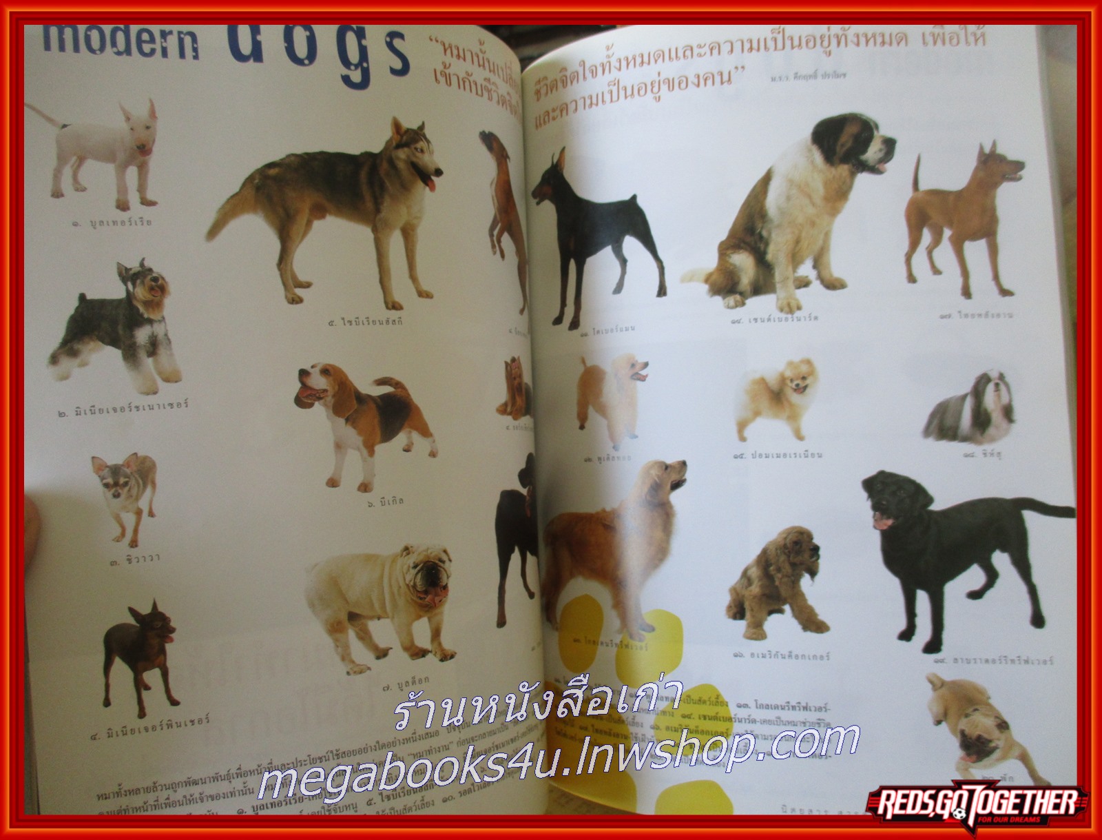 นิตยสารสารคดี ฉบับที่214 ปี2545 ฉบับ หมาสมัยใหม่ MODERN DOG