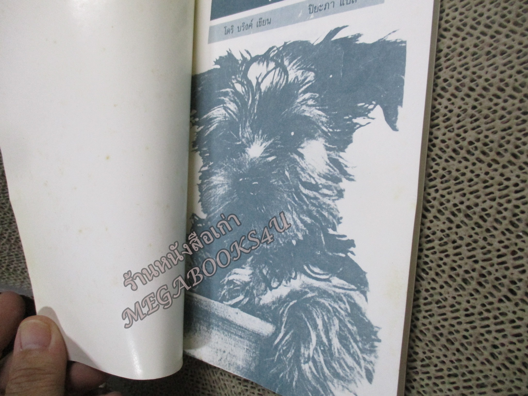 สปังค์กี้เพื่อนยาก SPUNKY ของ โดริ บริงค์ · ปิยะภา แปล