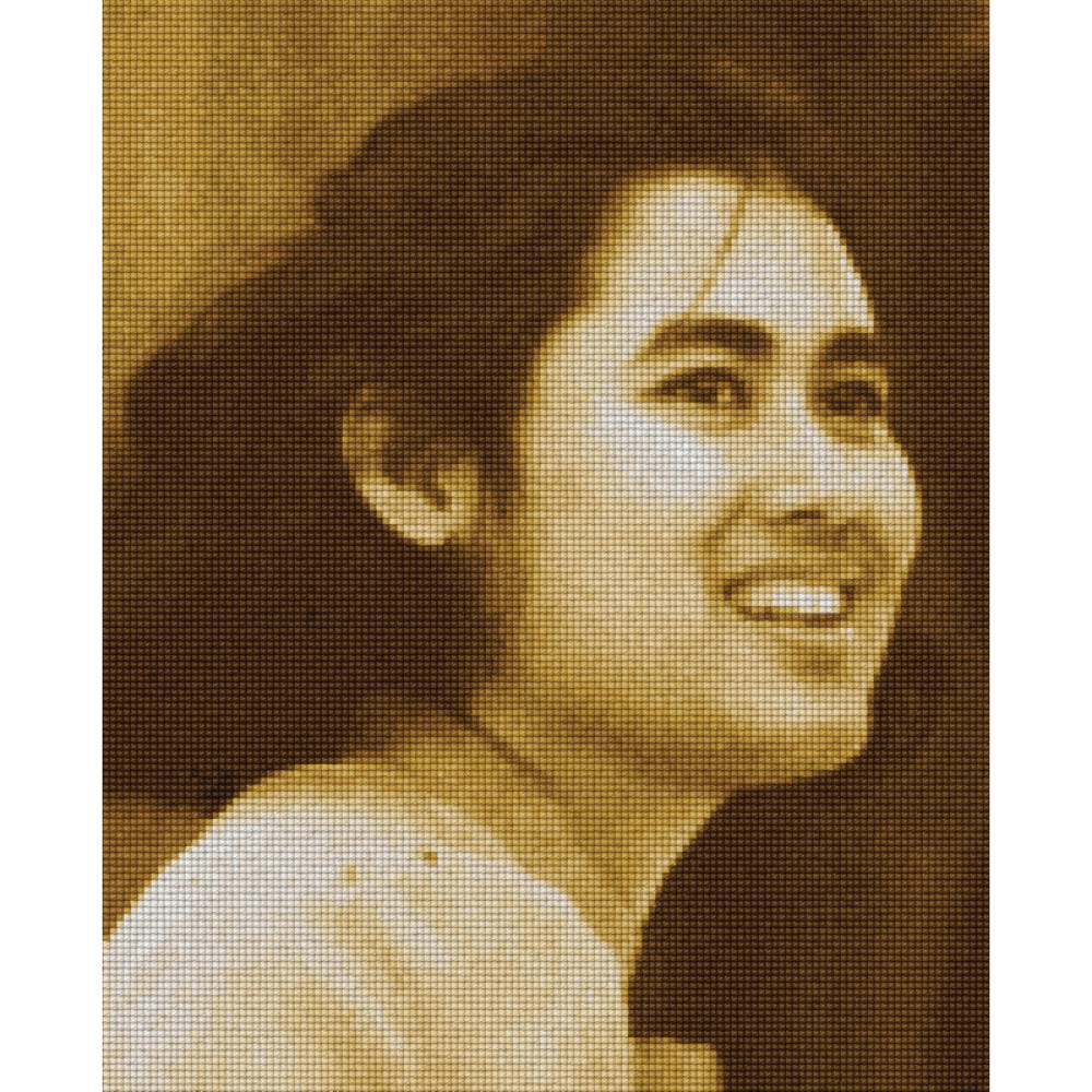 Pinn สมเด็จพระเทพฯ (ภาพสี่เหลี่ยม)