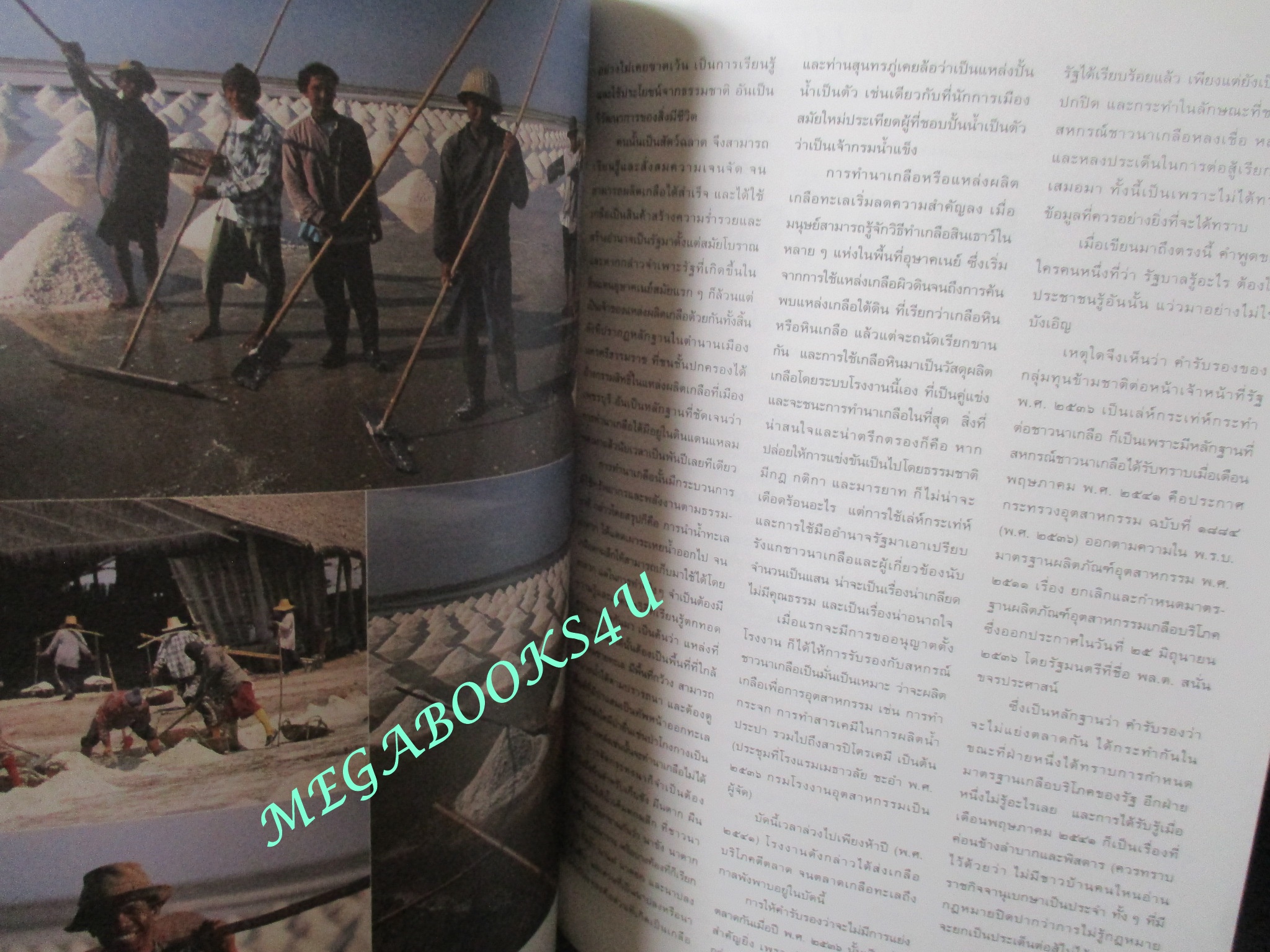 นิตยสารสารคดี ฉบับที่162 สิงหาคม 2541 รุ่งอรุณแห่งวิวัฒนาการสู่ลิงใหญ่บนแผ่นดินไทย การค้นหาปริศนามนุษย์