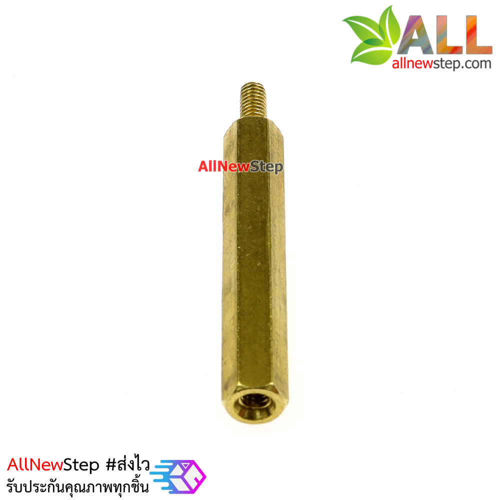Nut screw m2.5 น็อตสกรู M2.5 ขนาด 30+6mm