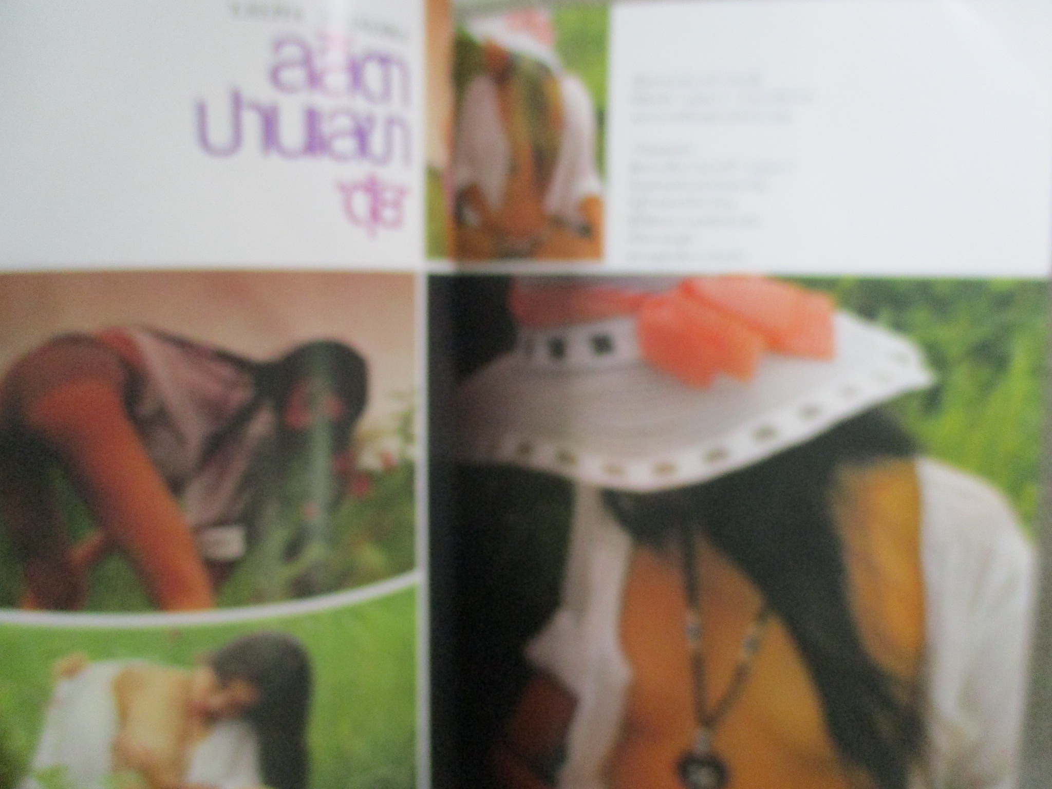 นิตยสารหนุ่มสาวฉบับพิเศษ (หนังสือบ้าน มือสอง) (สภาพ85-95%)