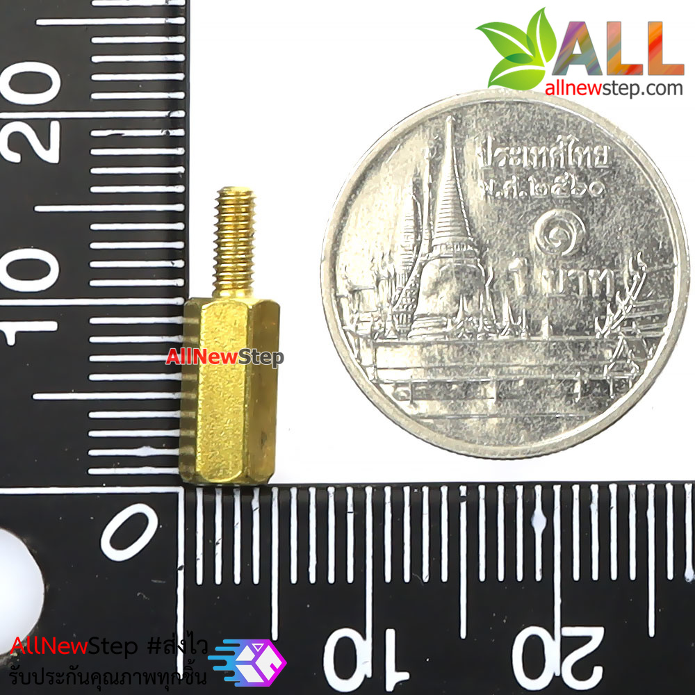 น็อต M2.5 ขนาด 10+6mm