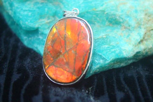 จี้แอมโมไนต์โอปอล ( Ammonite Opal )