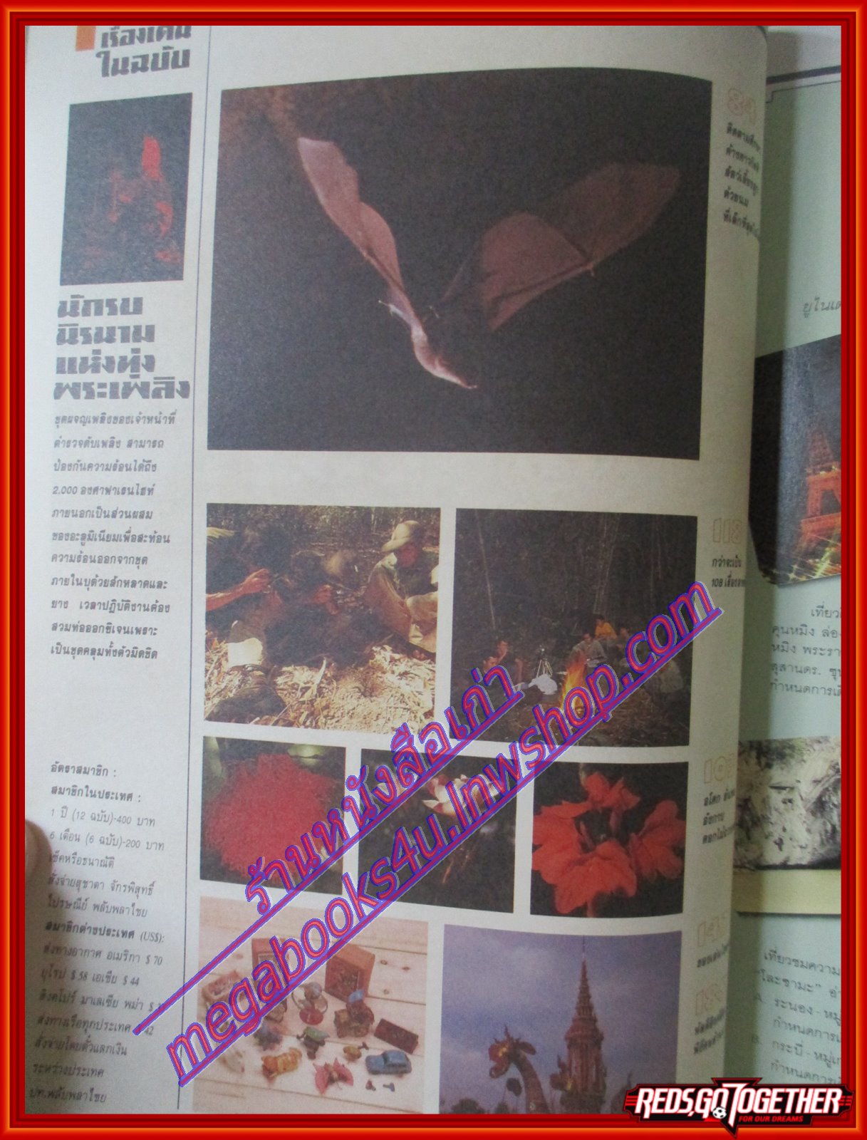 นิตยสารสารคดี ฉบับที่037 มีนาคม 2531 คนผจญเพลิง ค้างคาวกิตติ สัมภาษณ์ วิจิตร คุณาวุฒิ