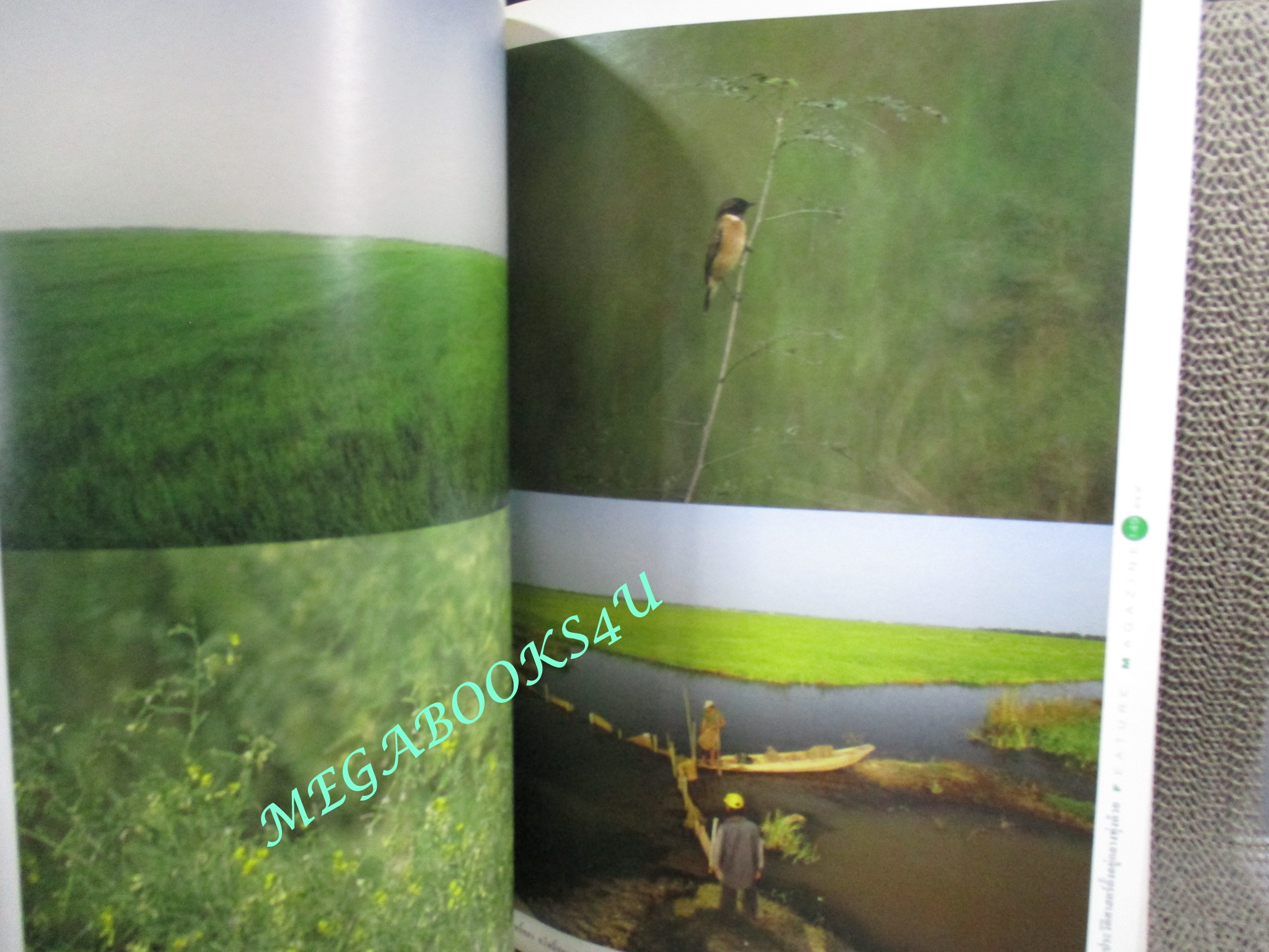 นิตยสารสารคดี ฉบับที่094 ปี2535;ไก่ฟ้าพญาลอ,เที่ยวทุ่งลงข้าว,60ปีสวนโมกข์,เที่ยวเชียงใหม่