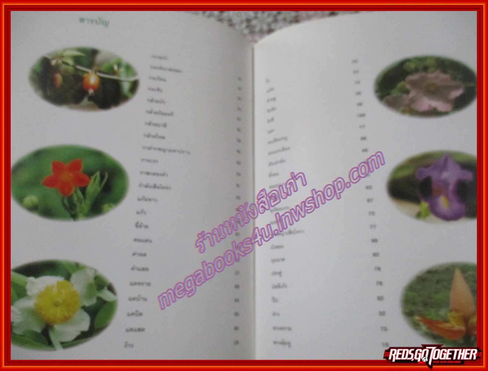 สวนพฤกษศาสตร์สมเด็จพระนางเจ้าสิริกิตติ์ QUEEN SIRIKIT BOTANIC GARDEN เล่ม1 องค์การสวนพฤกษศาสตร์