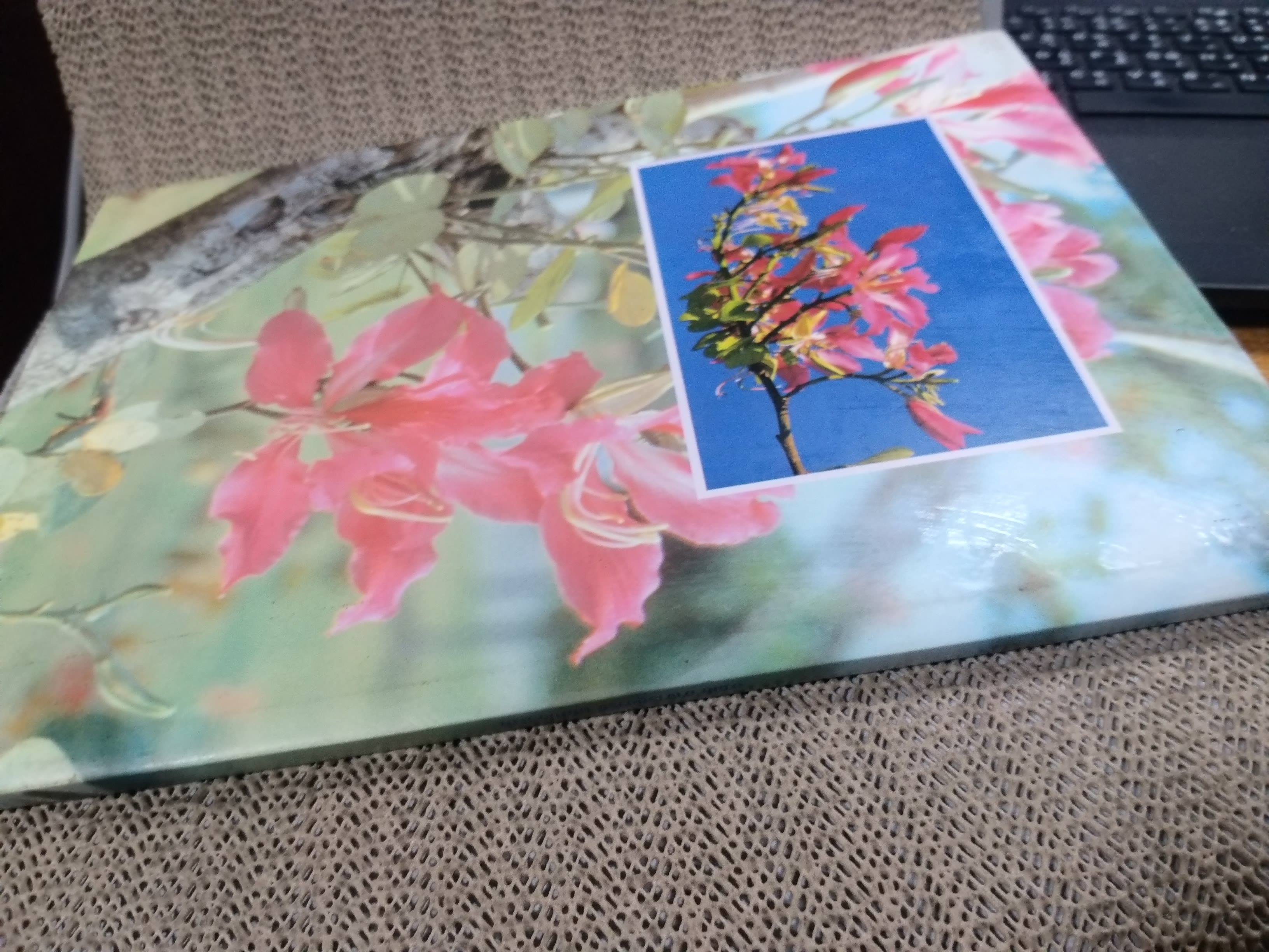 ชุดพรรณไม้งาม อนุสรณ์ นายอารีย์ เสมประสาท ม.ช., บ.ม. ครูปูชนียบุคคลของโรงเรียนกรุงเทพคริสเตียนวิทยาลัย