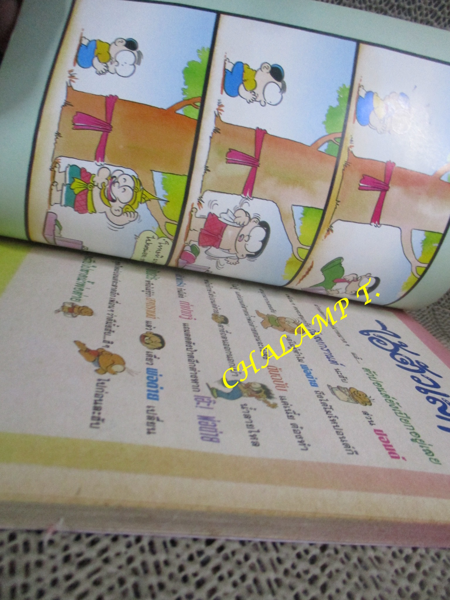 ไอ้ตัวเล็ก / ปังปอนด์ โดยต่าย ฉบับที่052 ปก12 บาท