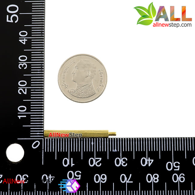 น็อตทองเหลือง NUT M2 ขนาด 25+3mm