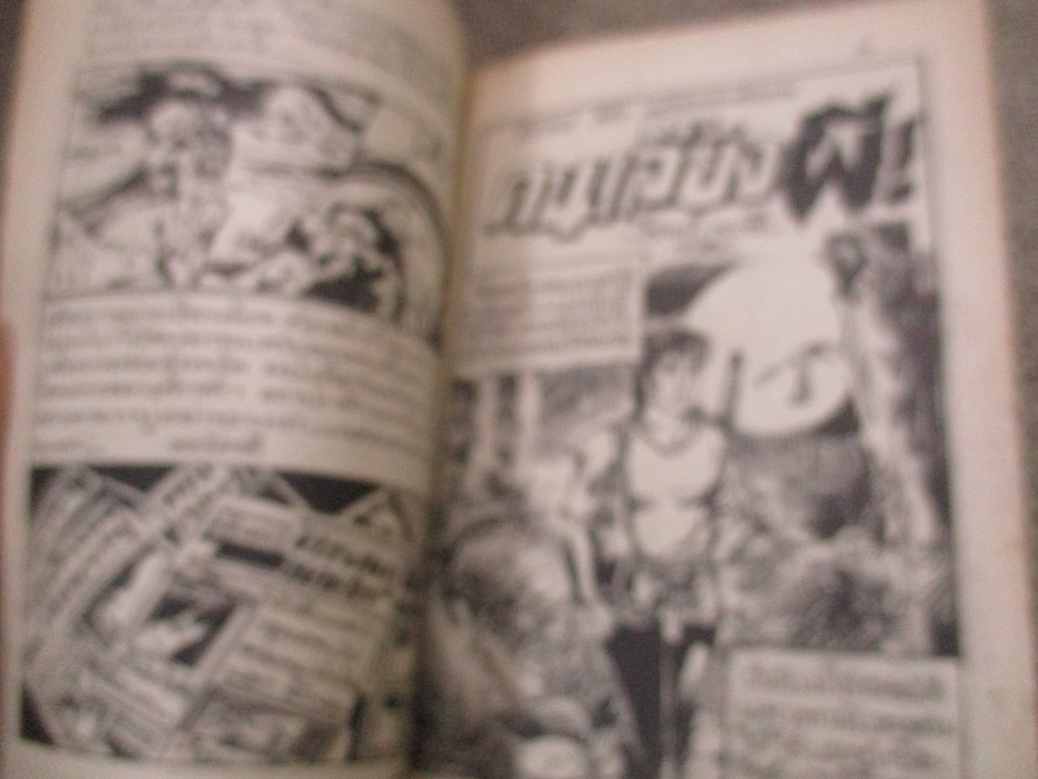 การ์ตูนไทยเล่มละบาท ปก5บาท เรื่อง ดงผีดุ