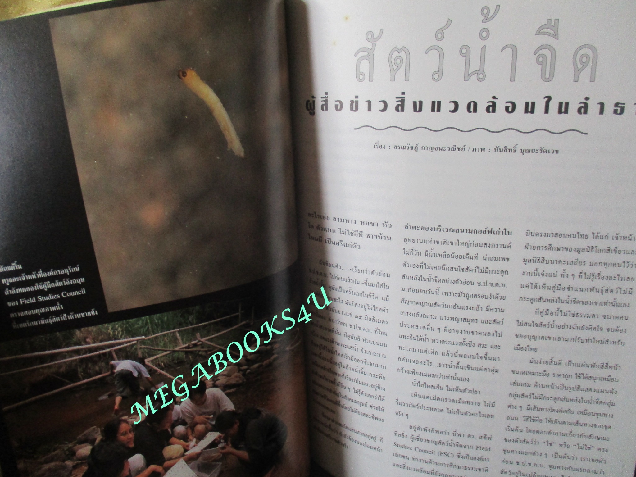 นิตยสารสารคดี ฉบับที่162 สิงหาคม 2541 รุ่งอรุณแห่งวิวัฒนาการสู่ลิงใหญ่บนแผ่นดินไทย การค้นหาปริศนามนุษย์
