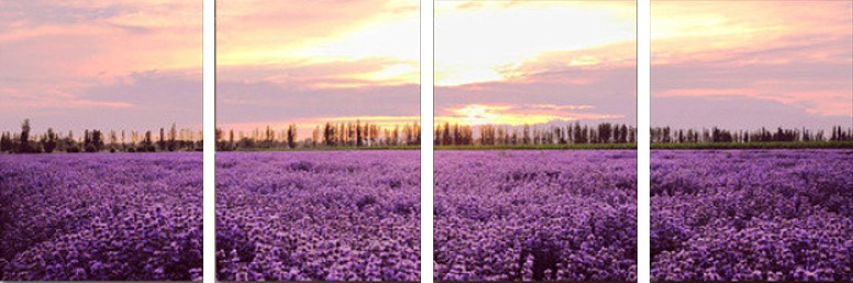 ชุดปักจีน Lavender Field (เซต 4 แบบ)