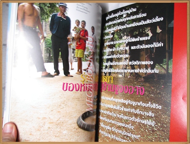 นิตยสารสารคดี ฉบับที่246 ปีที่21 สิงหาคม 2548 หางเครื่องจังหวะชีวิต หมู่บ้านงูจงอาง สภาพดี