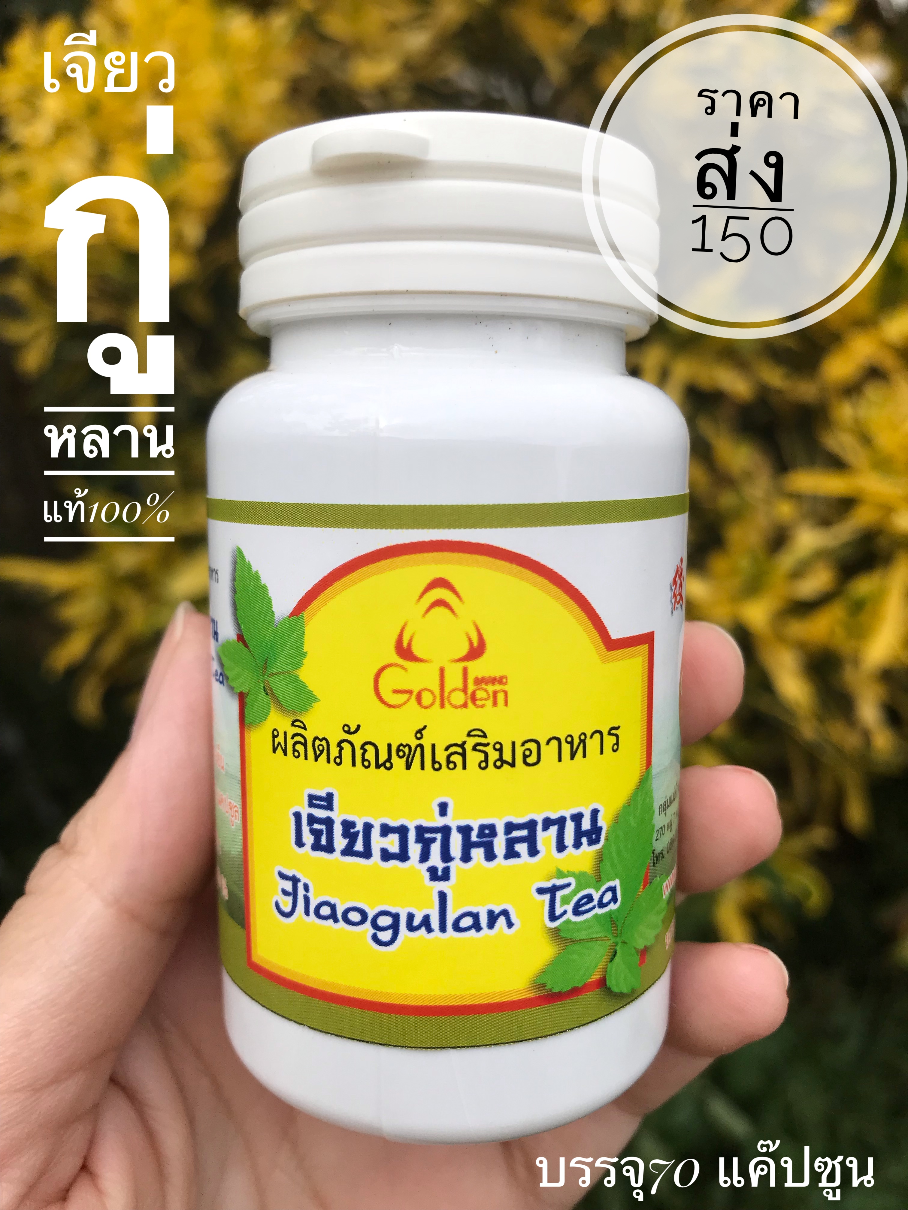 เจียวกู่หลานแท้100% ชนิดแคปซูล (บรรจุ 70 แค๊ปซูล)