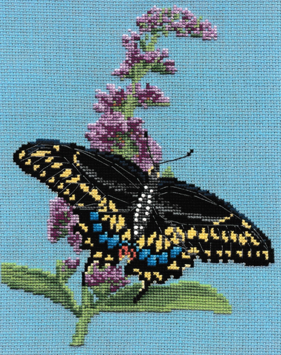 Pegasus ผังลาย Swallowtail Butterfly Bush
