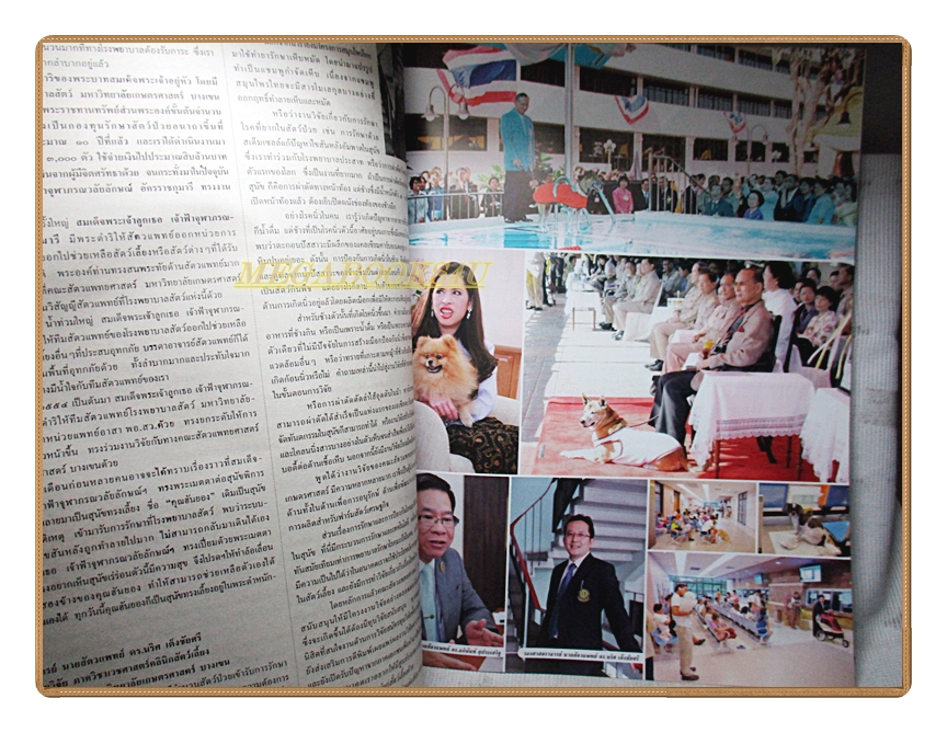 นิตยสารสกุลไทย ฉบับที่3085 ปี2556 พระบรมฉายาลักษณ์ในหลวง รัชกาลที่9