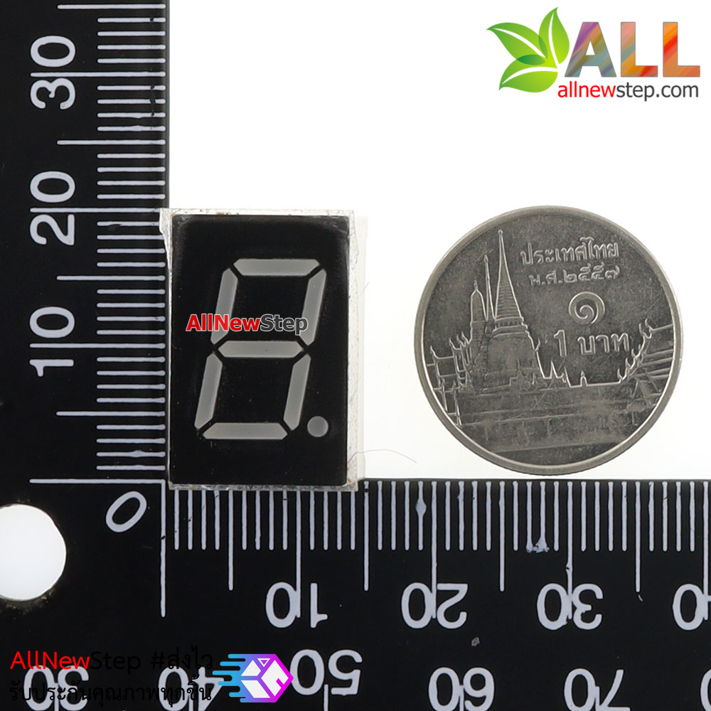7 Segment 0.5 นิ้ว Common Anode 1digit Red ไฟ 7 segment 0.5 1 หลัก สีแดงแบบไฟบวกร่วม 41056W