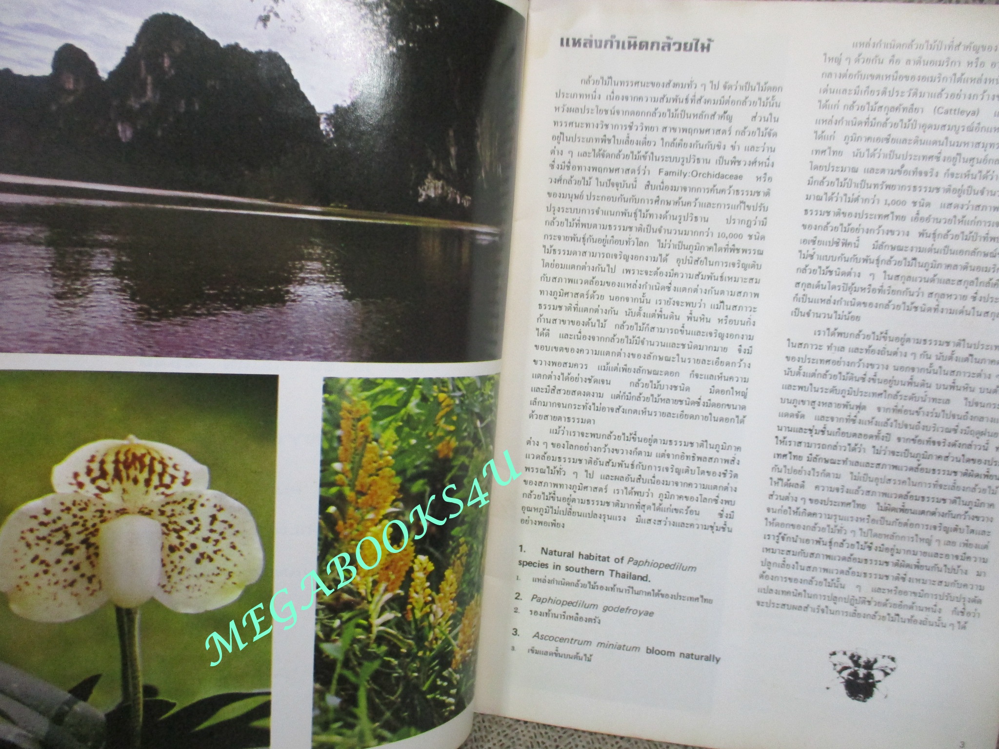 กล้วยไม้กับเมืองไทย โดย ศาสตราจารย์ ระพี สาคริก การประชุมกล้วยไม้โลก ครั้งที่ 9