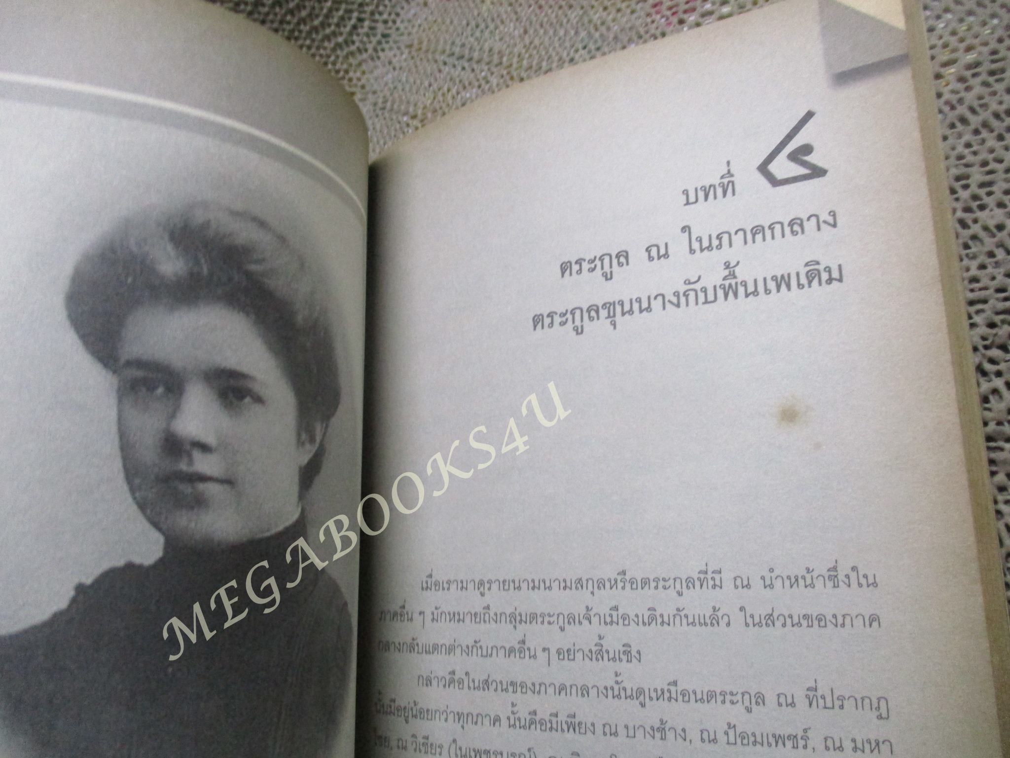 ต้นตระกูลเจ้าเมือง สายสกุล ณ ในสยาม ผู้เขียน: กัลยา เกื้อตระกูล / มีจุดเหลืองประปราย