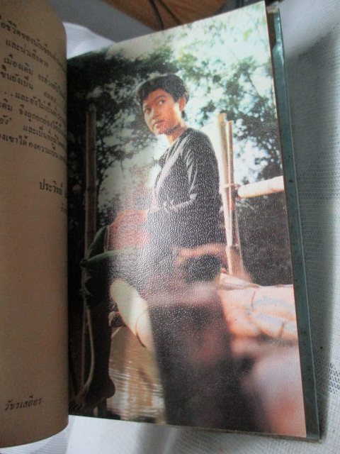 แผลเก่า , แสนแสบ ฉบับมีภาพประกอบจากภาพยนตร์ โดย ไม้เมืองเดิม