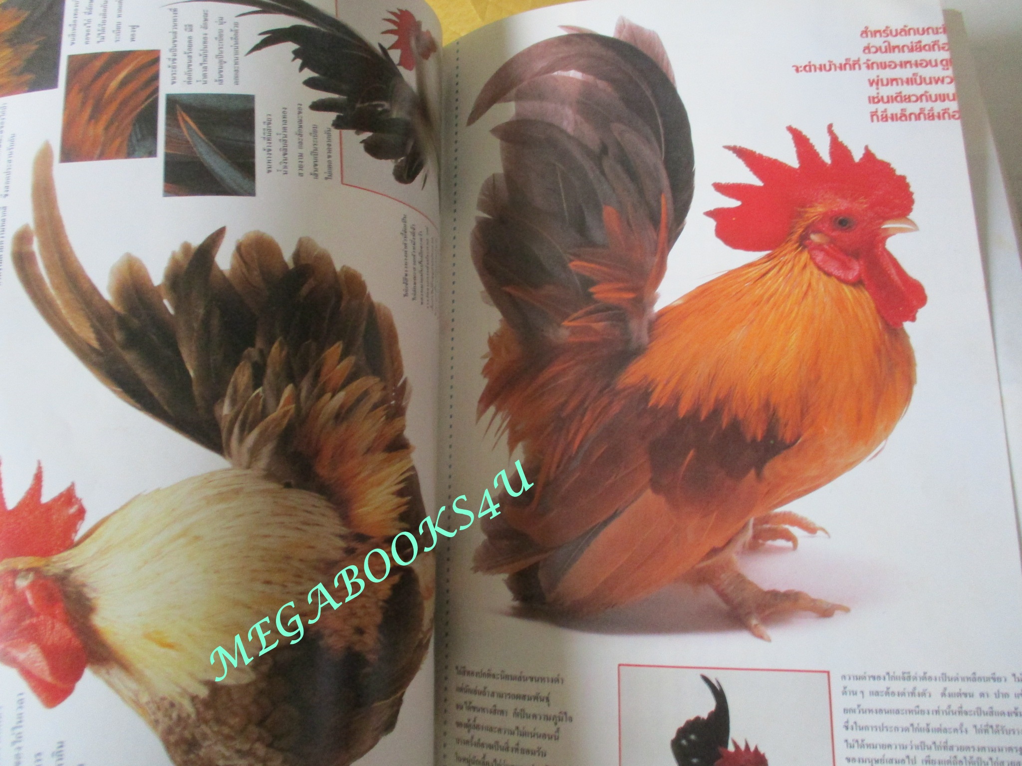 นิตยสารสารคดี ฉบับที่036 พระองค์พีระฯ,ไก่แจ้,คนทรงเจ้า,ปีที่03 ฉบับที่036 กุมภาพันธ์ 2531