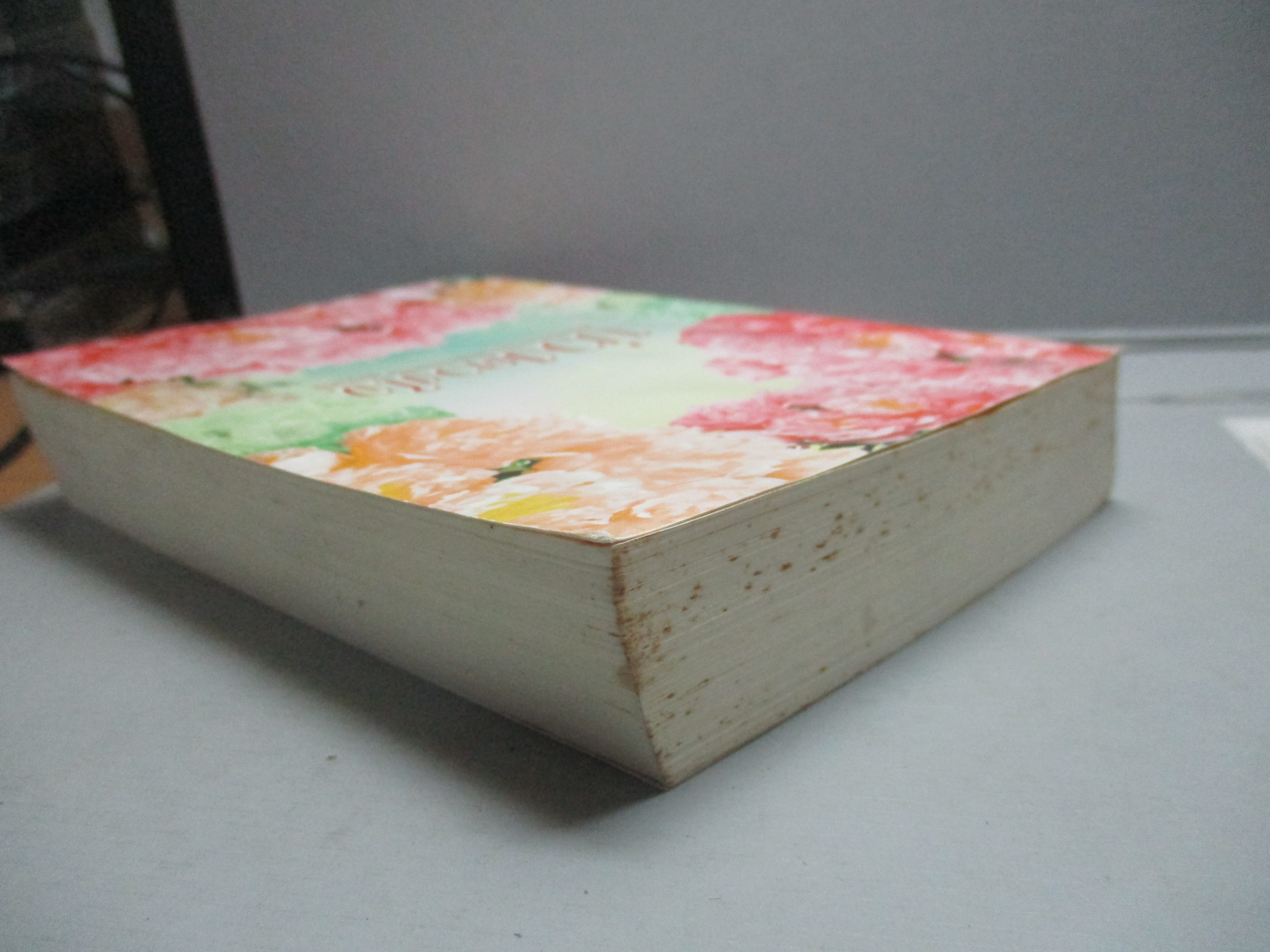 บ่วงดวงใจ โดย แอลลี่