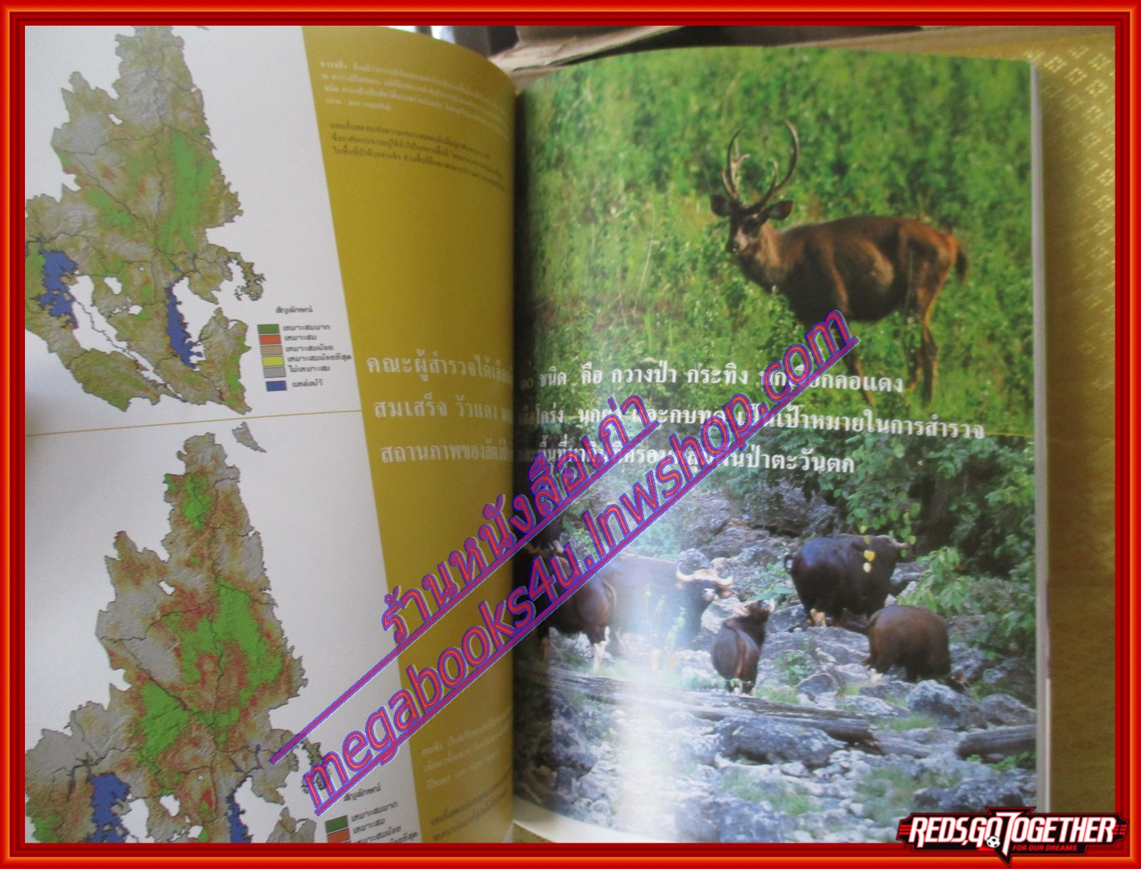 นิตยสารสารคดี ฉบับที่213 พฤศจิกายน 2545 ป่าตะวันตก,น้ำมันดิบ,สุนัขลากเลื่อน,ภูเรือ,ดอยสุเทพ