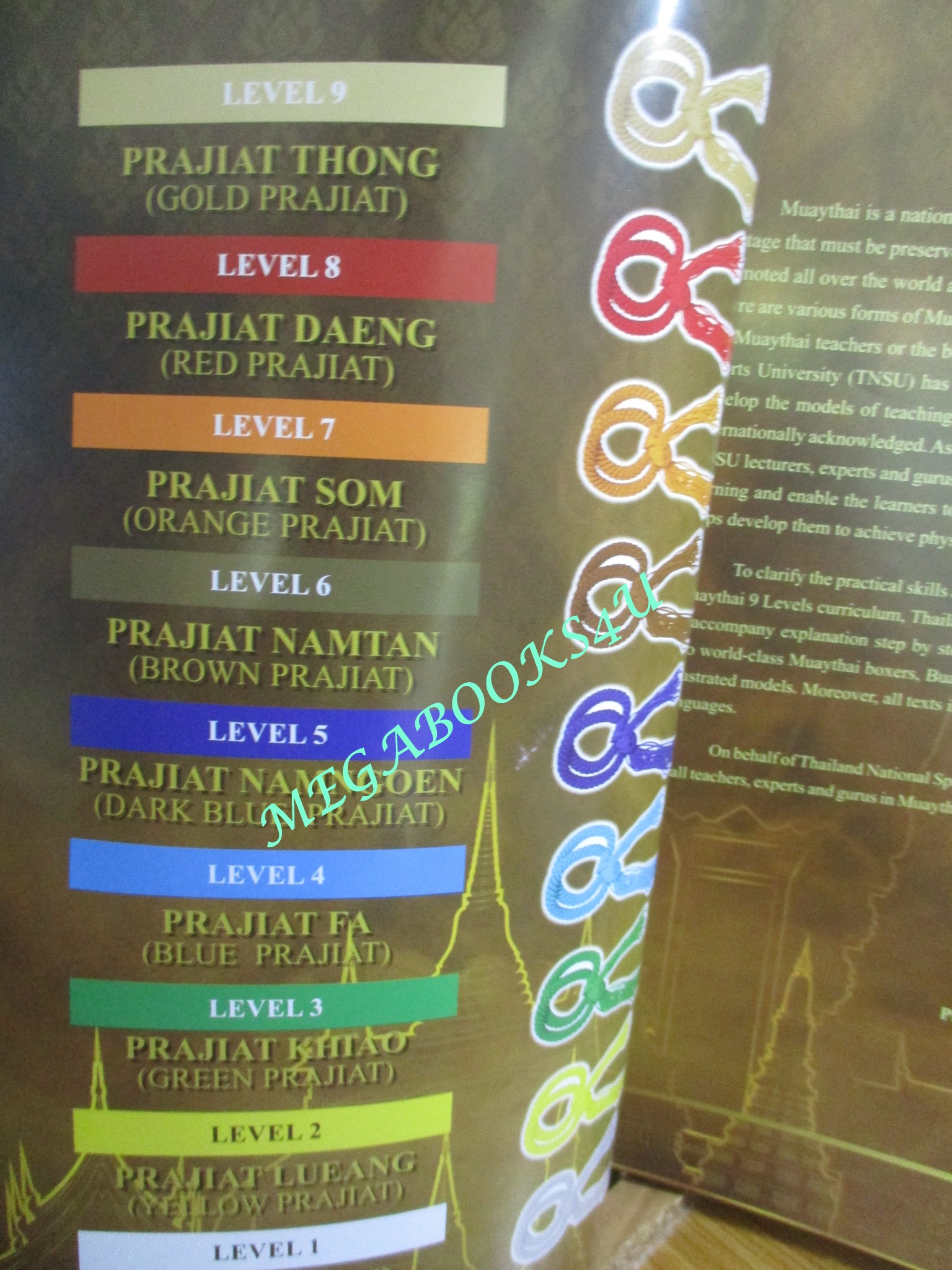 หนังสือ แม่ไม้มวยไทย หลักสูตรมวย 9 ขั้น MUAYTHAI 9 LEVELS