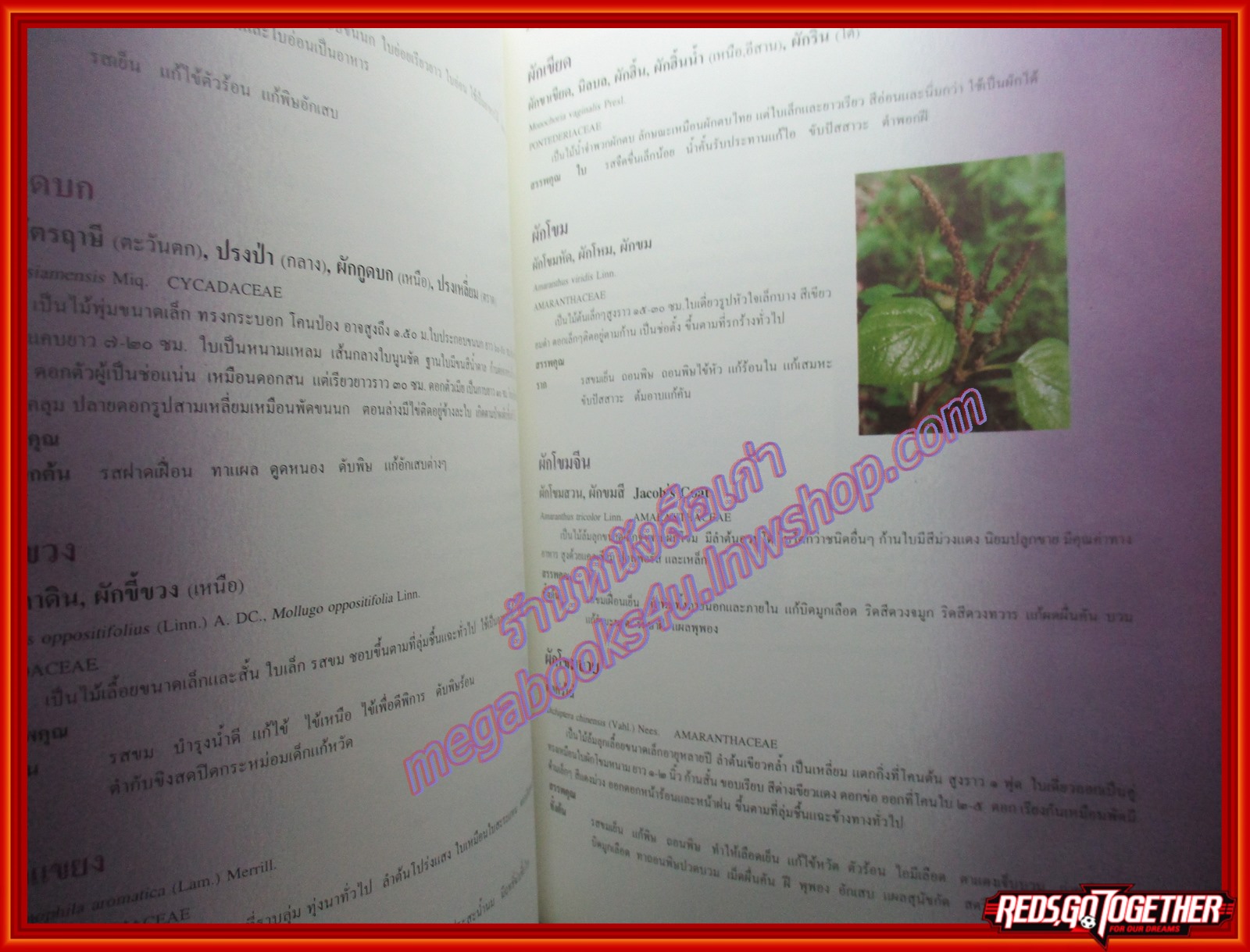 ร่วมอนุรักษ์มรดกไทย สารานุกรมสมุนไพร รวมหลักเภสัชกรรมไทย โดย วุฒิ วุฒิธรรมเวช ปกแข็ง หนาใหญ๋