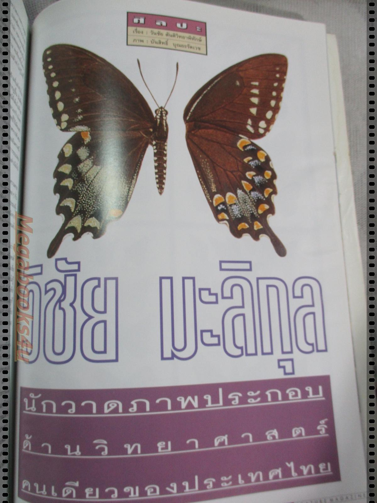 นิตยสารสารคดี ฉบับที่141 พฤศจิกายน 2539 หมอตำแย,กินเจ,เต่าเหลือง,ไอเรียน จายา