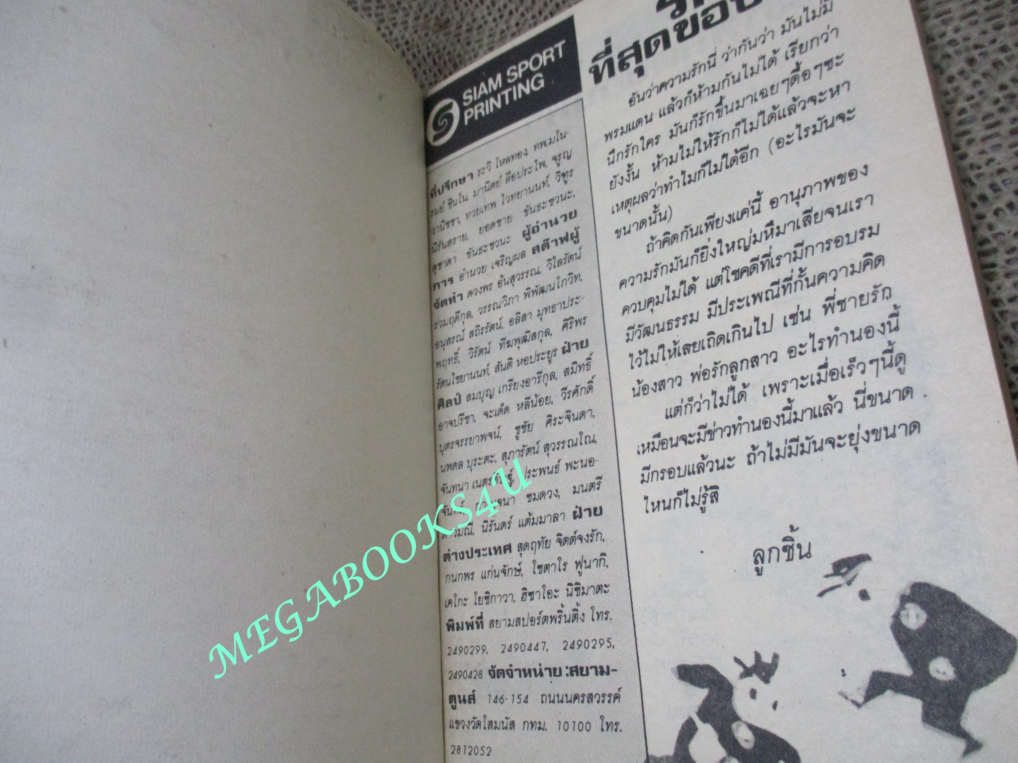 รักที่สุดขอบฟ้า / NAKAZATO RIE / เล่มเดียวจบ / สยามฯ