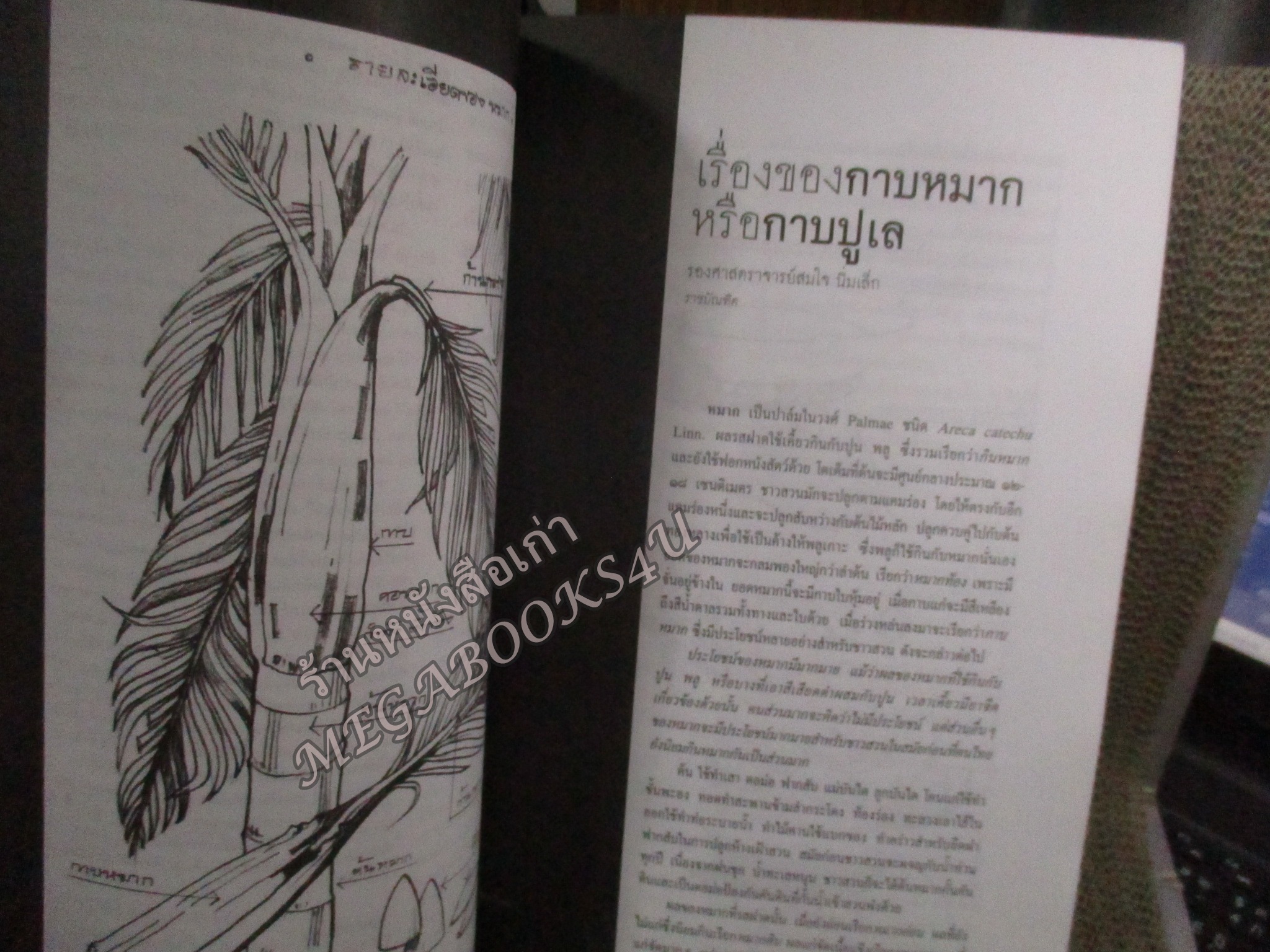 นิตยสารศิลปวัฒนธรรม ปีที่28 ฉบับ12 ต.ค.2550;ตามหาพระบรมรูปทรงม้า พระราชนิพนธ์ในรัชกาลที่5,กบฏเงี้ยวเมืองแพร่