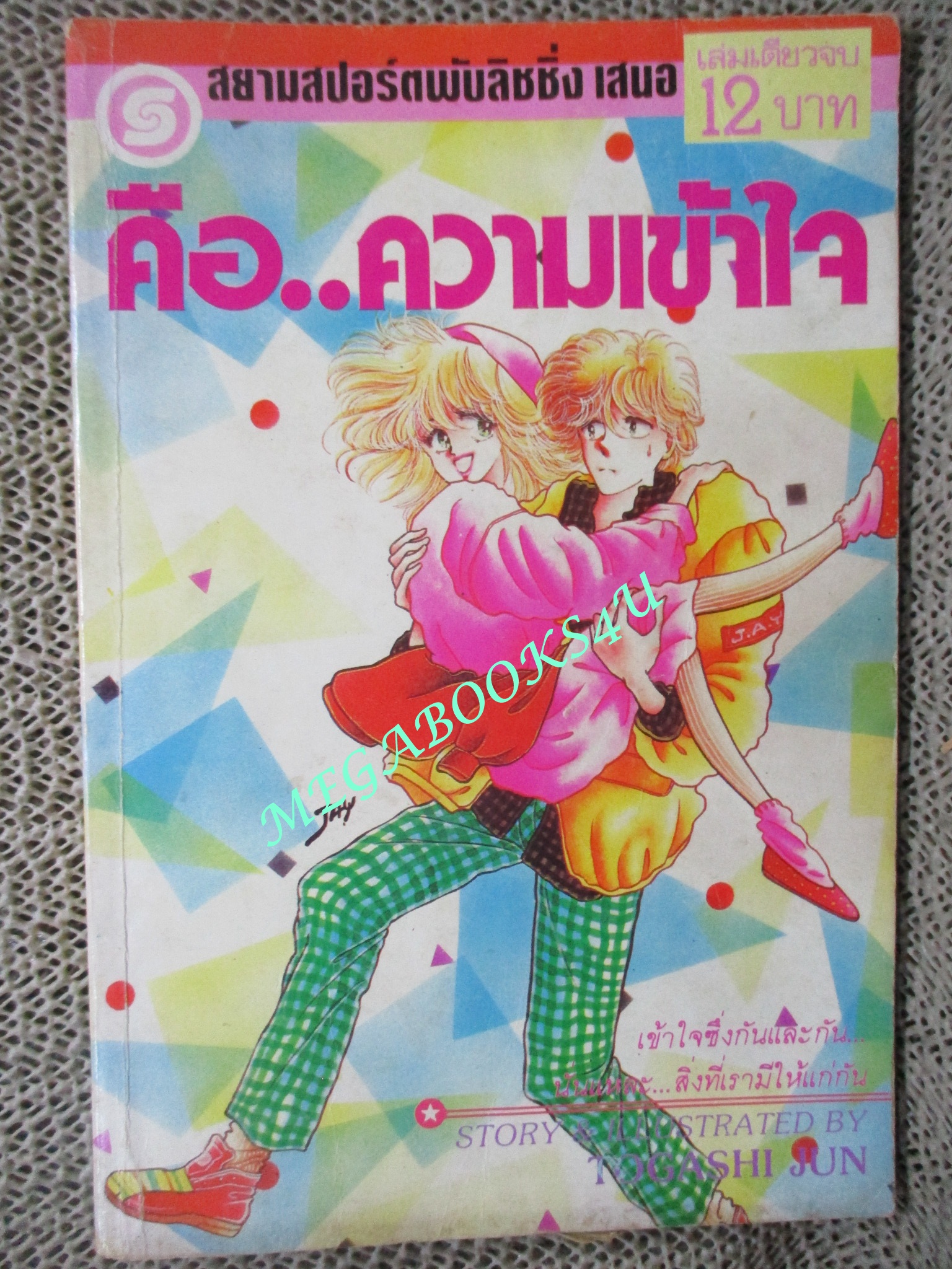 การ์ตูนบ้าน คือ...ความเข้าใจ / TOGACHI JUN / เล่มเดียวจบ / สยามฯ /