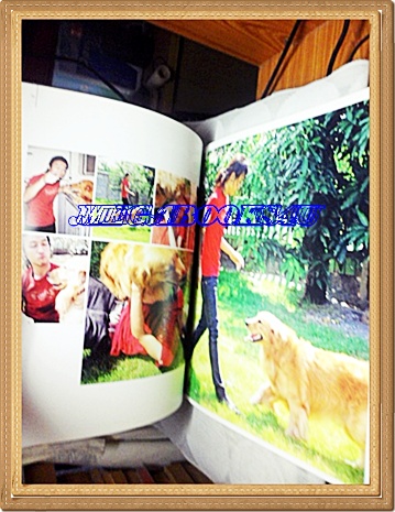 นิตยสารIN,IN MAGAZINE ฉบับBODYSLAM,TRUE LIFE REAL STORYรวมภาพและเรื่องมันส์ๆของ4หนุ่มBODYSLAMสีทั้งเล่ม,80หน้าสภาพดี