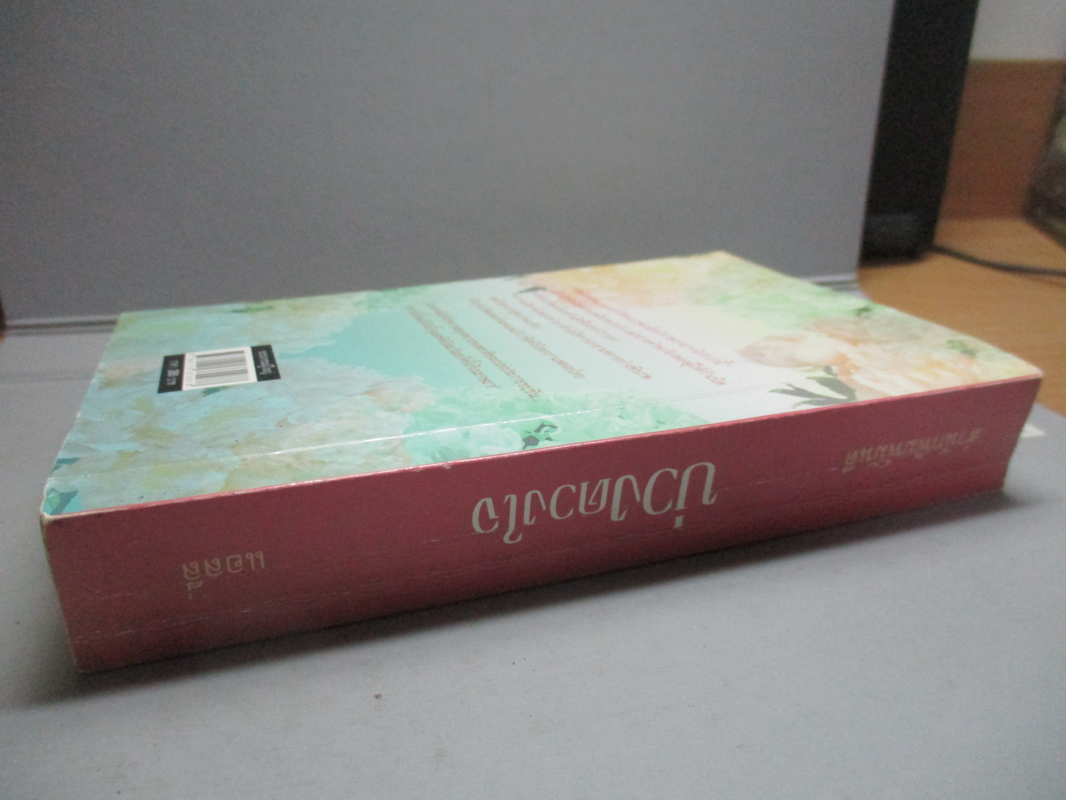 บ่วงดวงใจ โดย แอลลี่