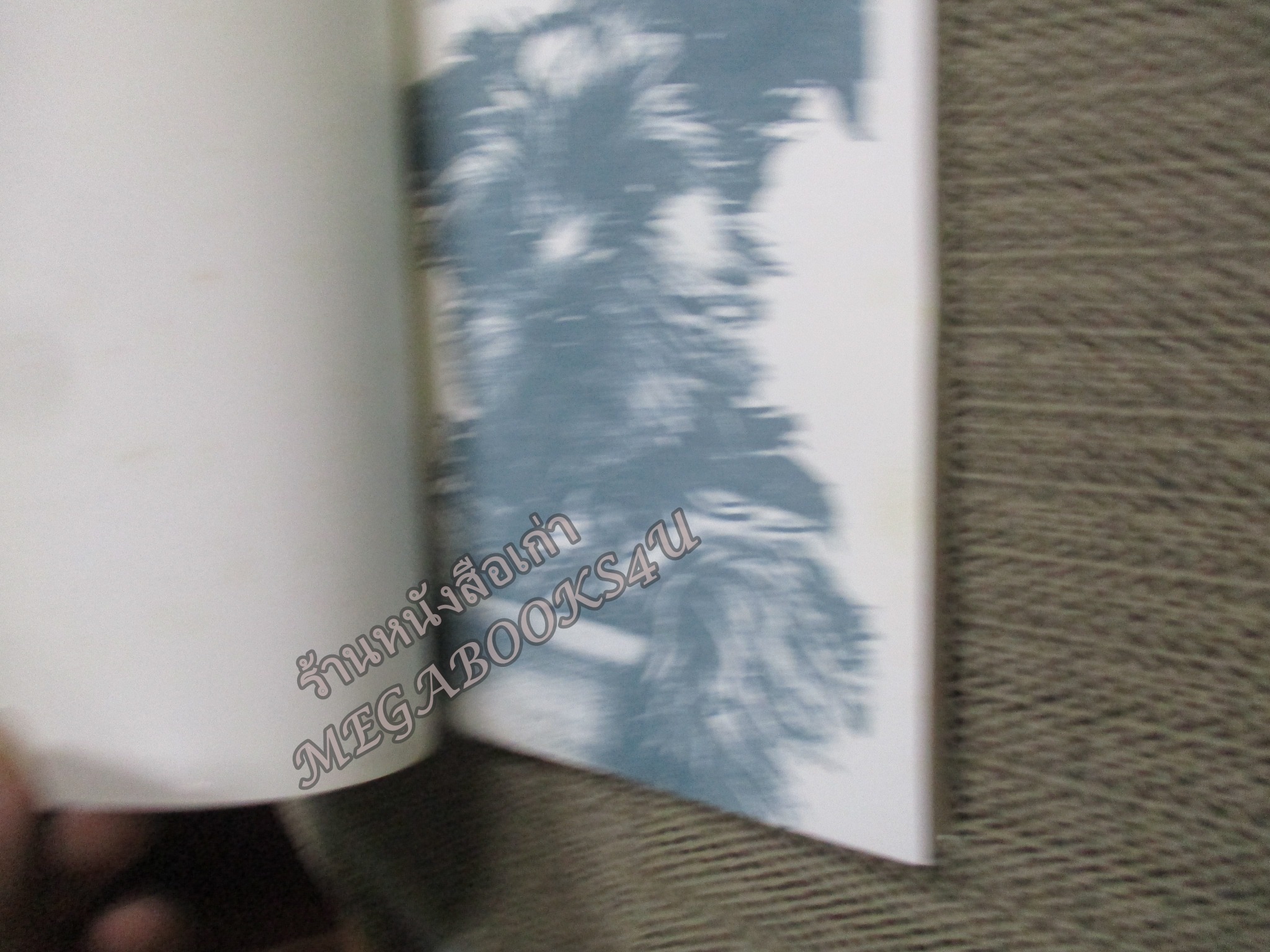 สปังค์กี้เพื่อนยาก SPUNKY ของ โดริ บริงค์ · ปิยะภา แปล