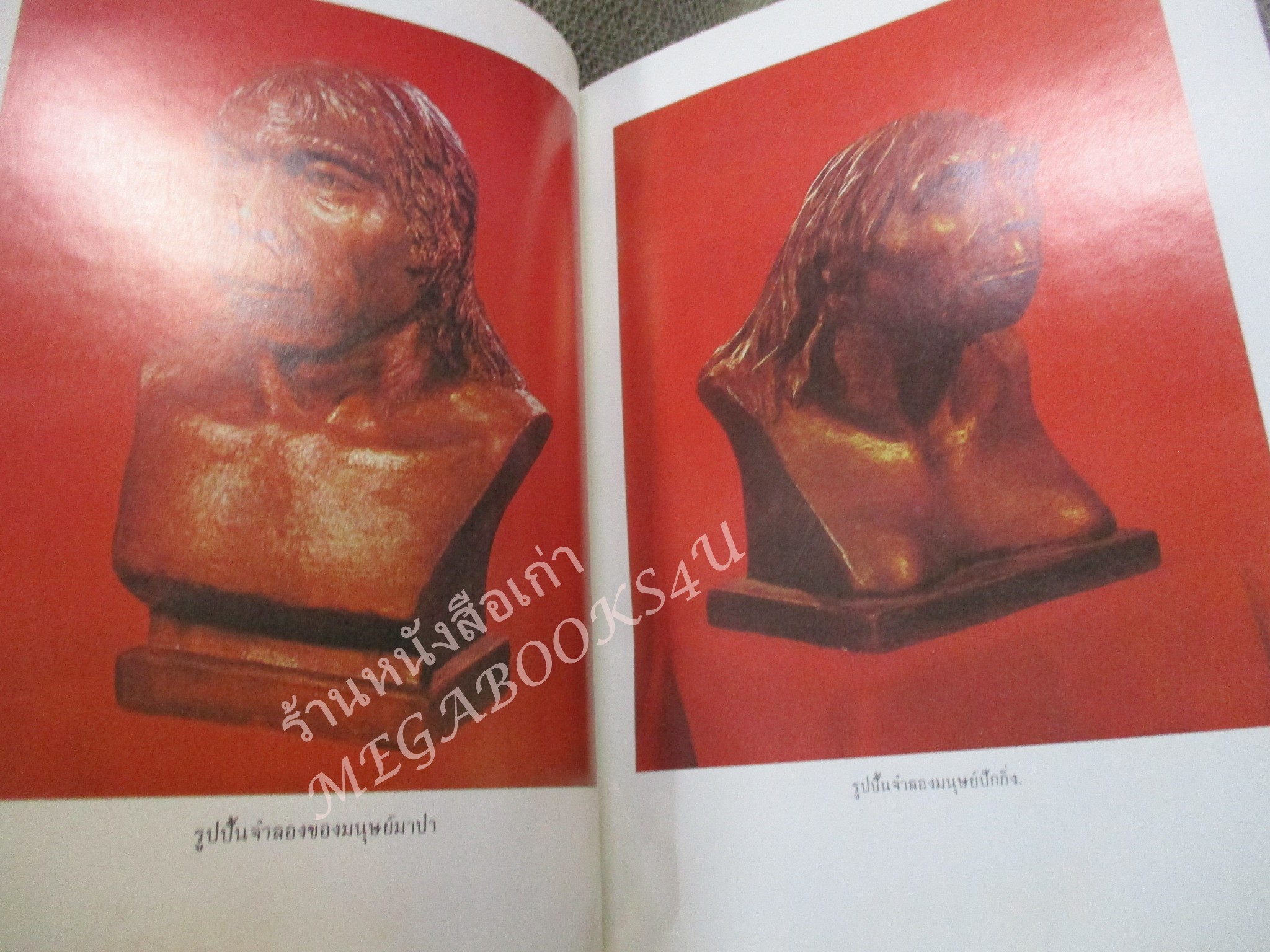 โลกยุคดึกดำบรรพ์ / โรงเรียนส่งเสริมวิชาชีพฯ / สภาพดี / แผ่นรองปกมีคราบน้ำนิด