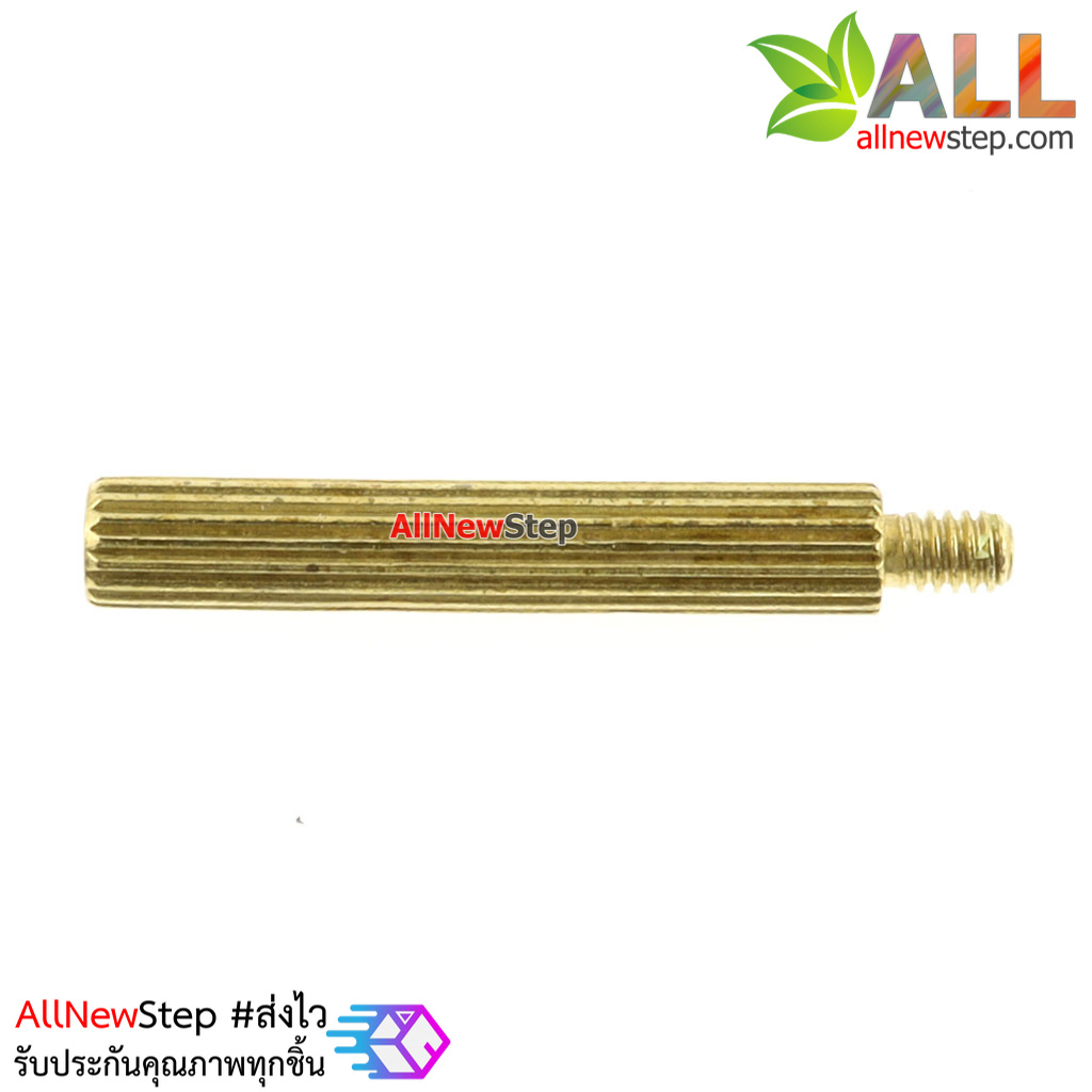 น็อตทองเหลือง NUT M2 ขนาด 18+3mm
