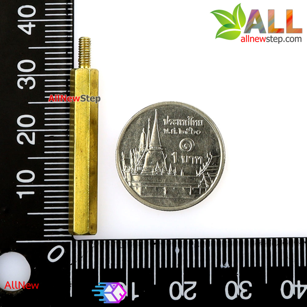 Nut screw m2.5 น็อตสกรู M2.5 ขนาด 30+6mm