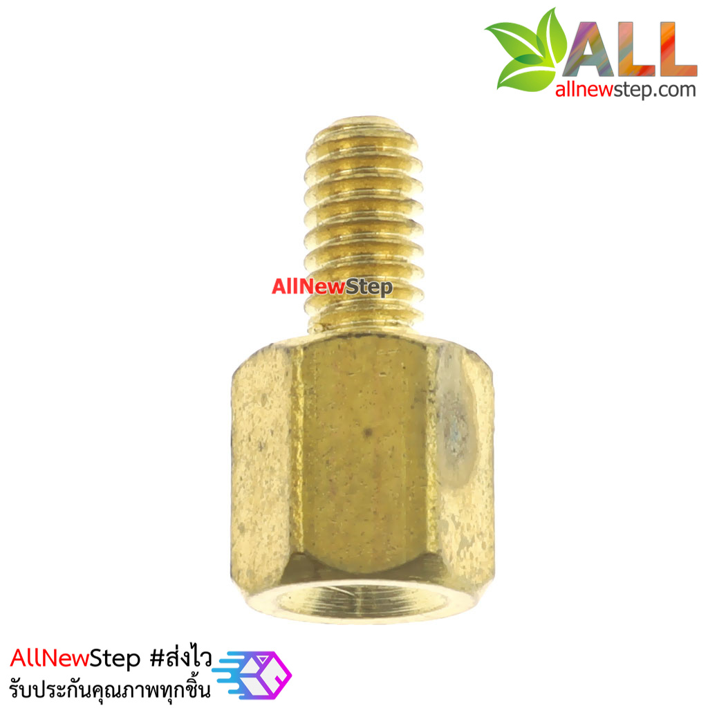 Nut screw m2.5 น็อตสกรู M2.5 ขนาด 6+6mm