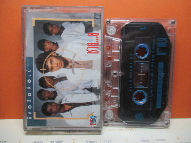 เทปเพลงไทยสากล วงชาย...ย ชุด ดีด สี ตี เป่า