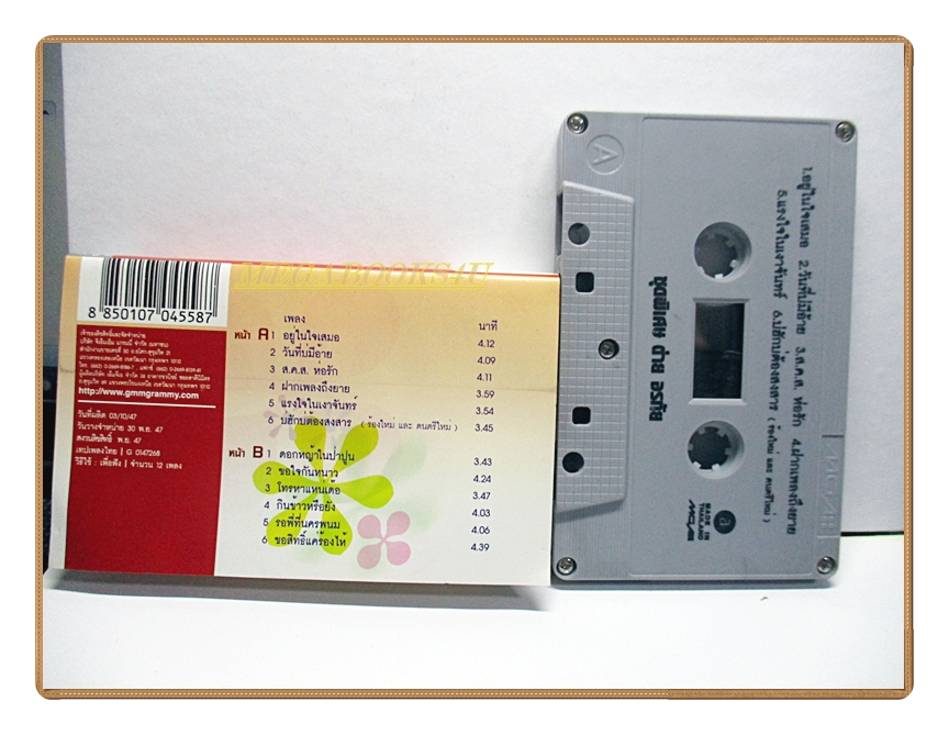 เทปเพลงไทยลูกทุ่ง ต่าย อรทัย ชุด อยู่ในใจเสมอ