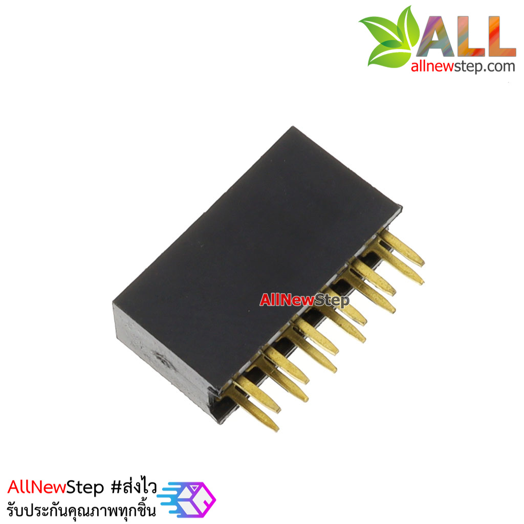 2.54mm pitch female double row female socket 2x6 pin