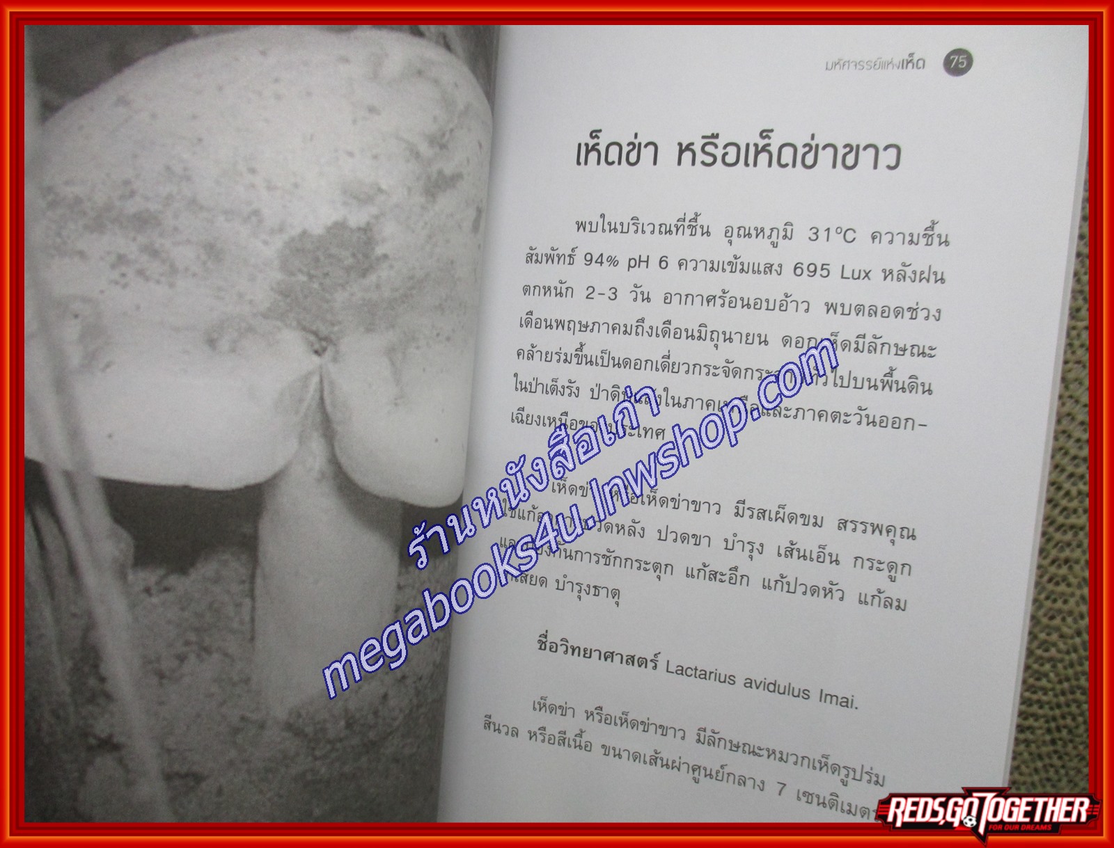 มหัศจรรย์แห่งเห็ด ผู้เขียน: หมออาสาแพทย์แผนไทย (หนังสือใหม่) (สภาพ 95%)