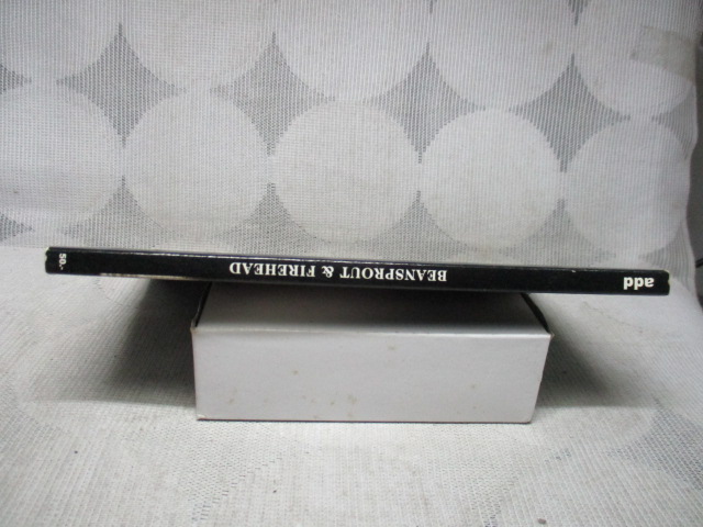 ถั่วงอกและหัวไฟในความบ้าคลั่งอันมิรู้สิ้นสุด (BeansproutFirehead in The Infinite Madness) โดย ทรงศีล ทิวสมบุญ